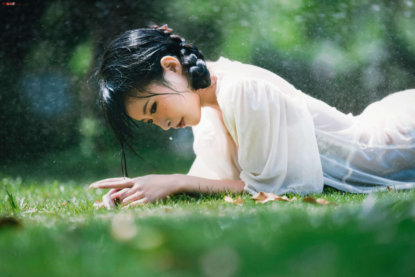 https://www.lss77.com/wp-content/uploads/2021/07/z-13-38-1600x1067.jpg