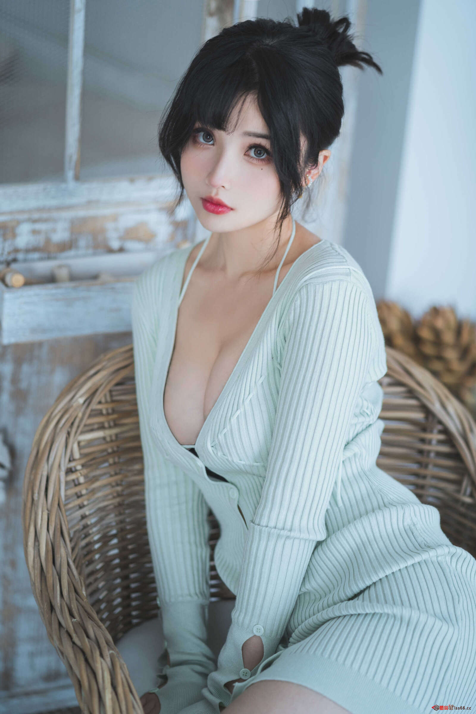 https://www.lss77.com/wp-content/uploads/2021/07/z-6-24-1600x2400.jpg