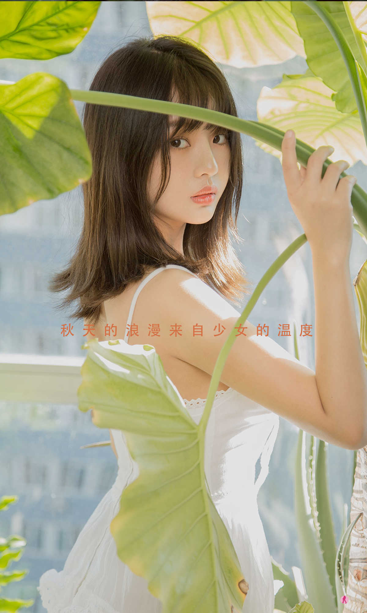 https://www.lss77.com/wp-content/uploads/2021/08/0009-617.jpg