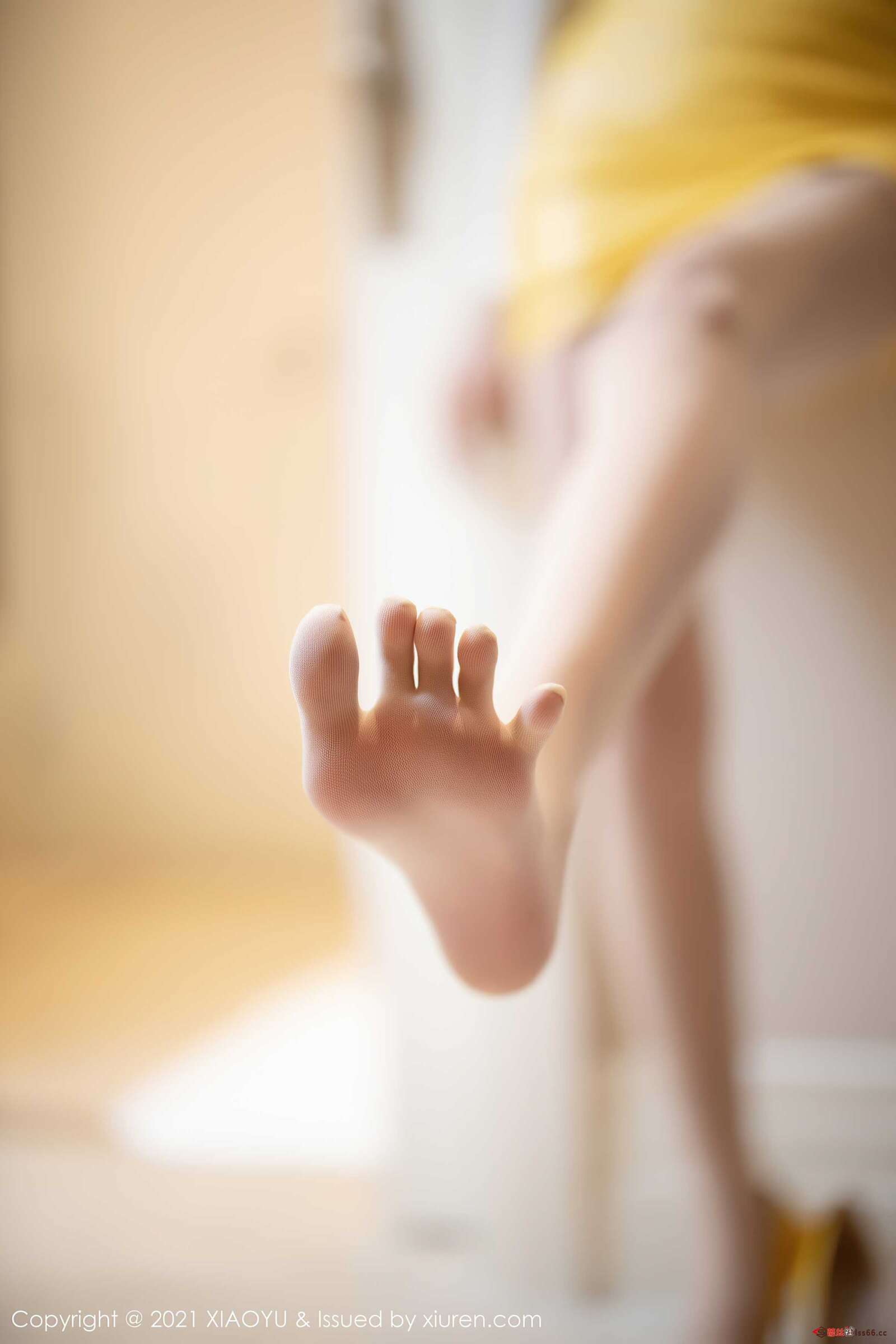 https://www.lss77.com/wp-content/uploads/2021/08/0017-10-1600x2400.jpg