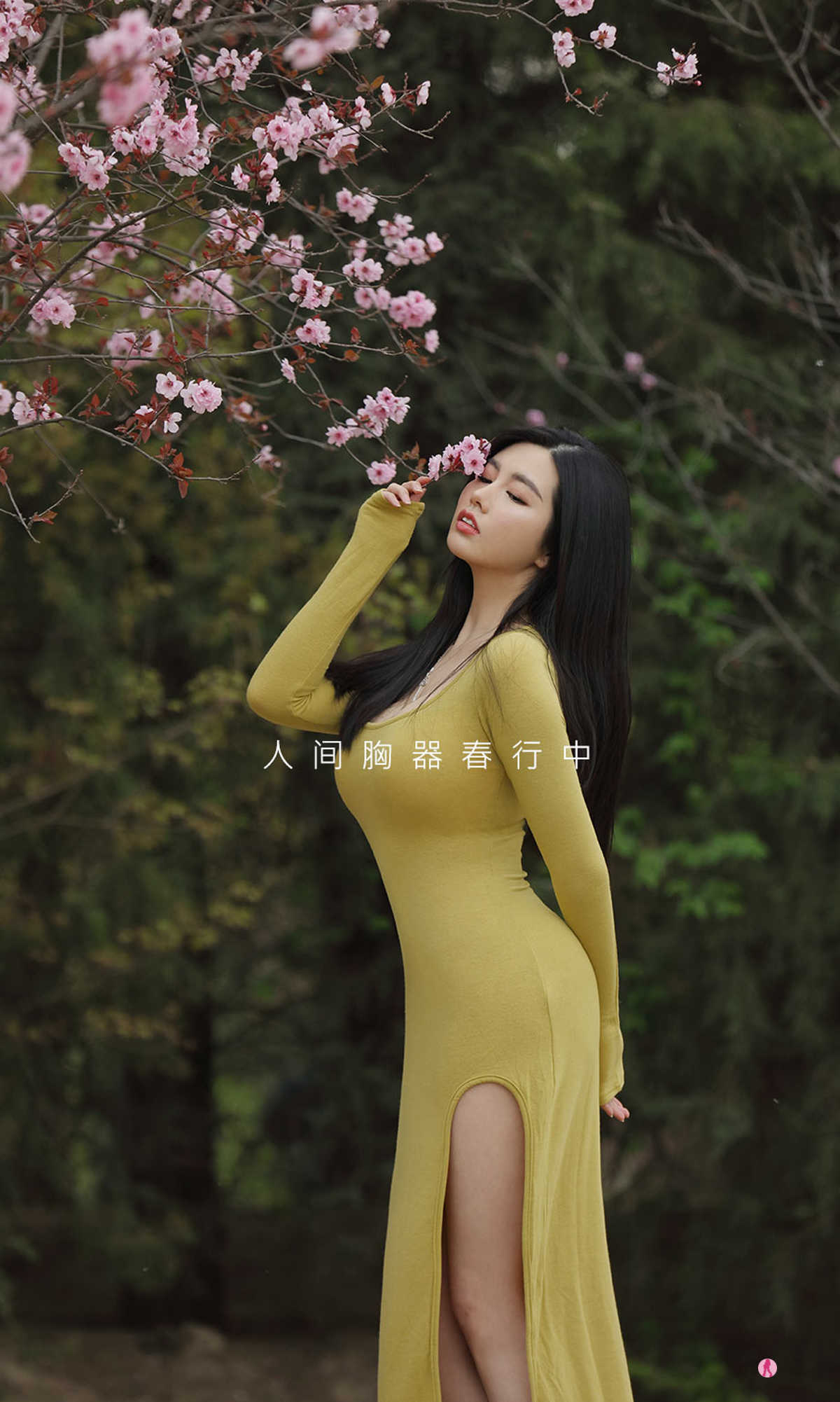 https://www.lss77.com/wp-content/uploads/2021/08/0030-505.jpg