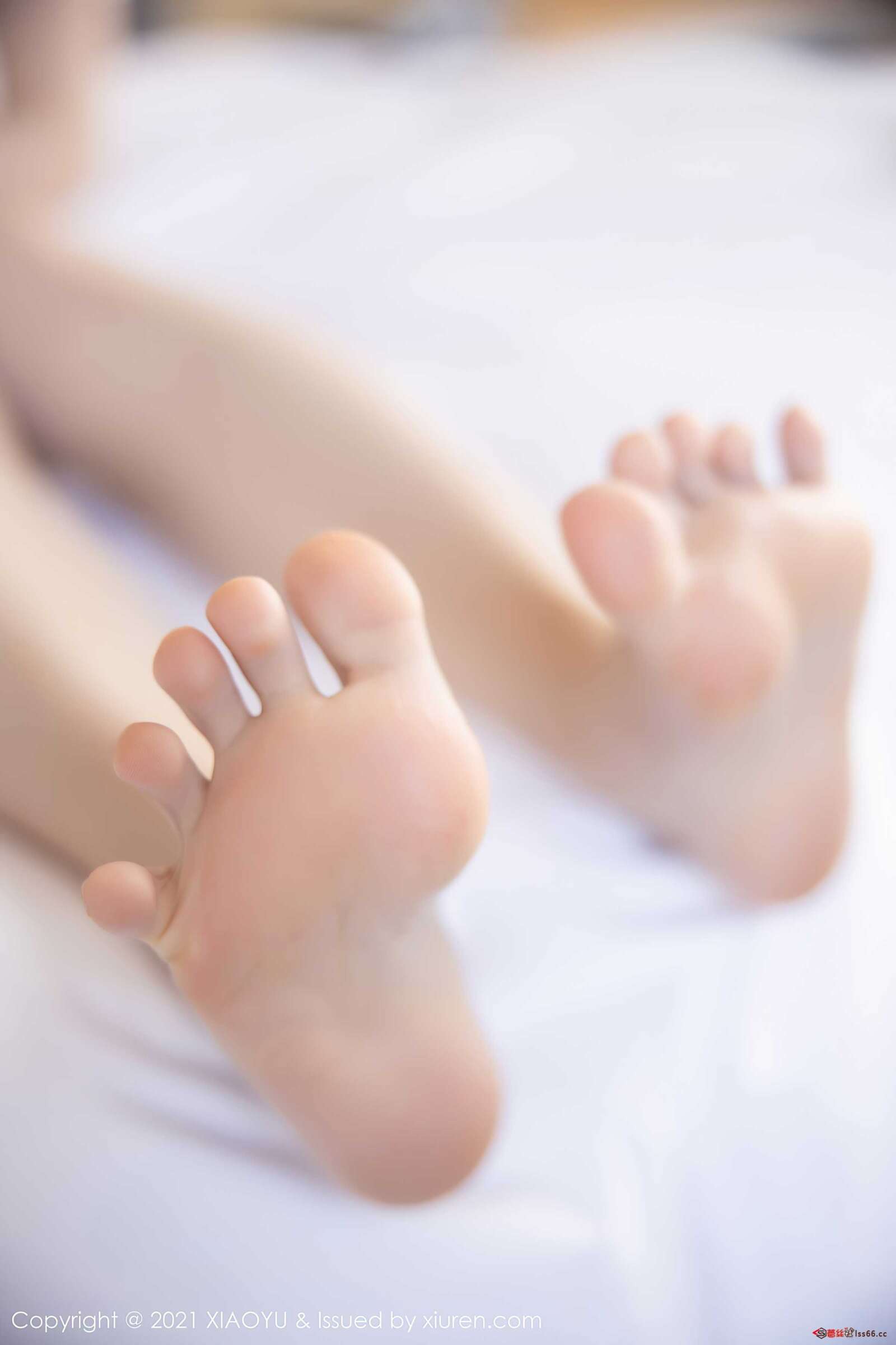 https://www.lss77.com/wp-content/uploads/2021/08/0038-47-1600x2400.jpg