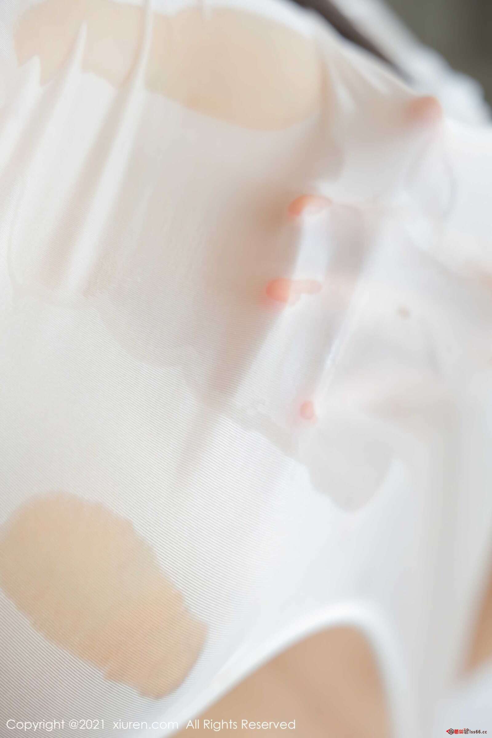 https://www.lss77.com/wp-content/uploads/2021/10/0031-439-1600x2400.jpg