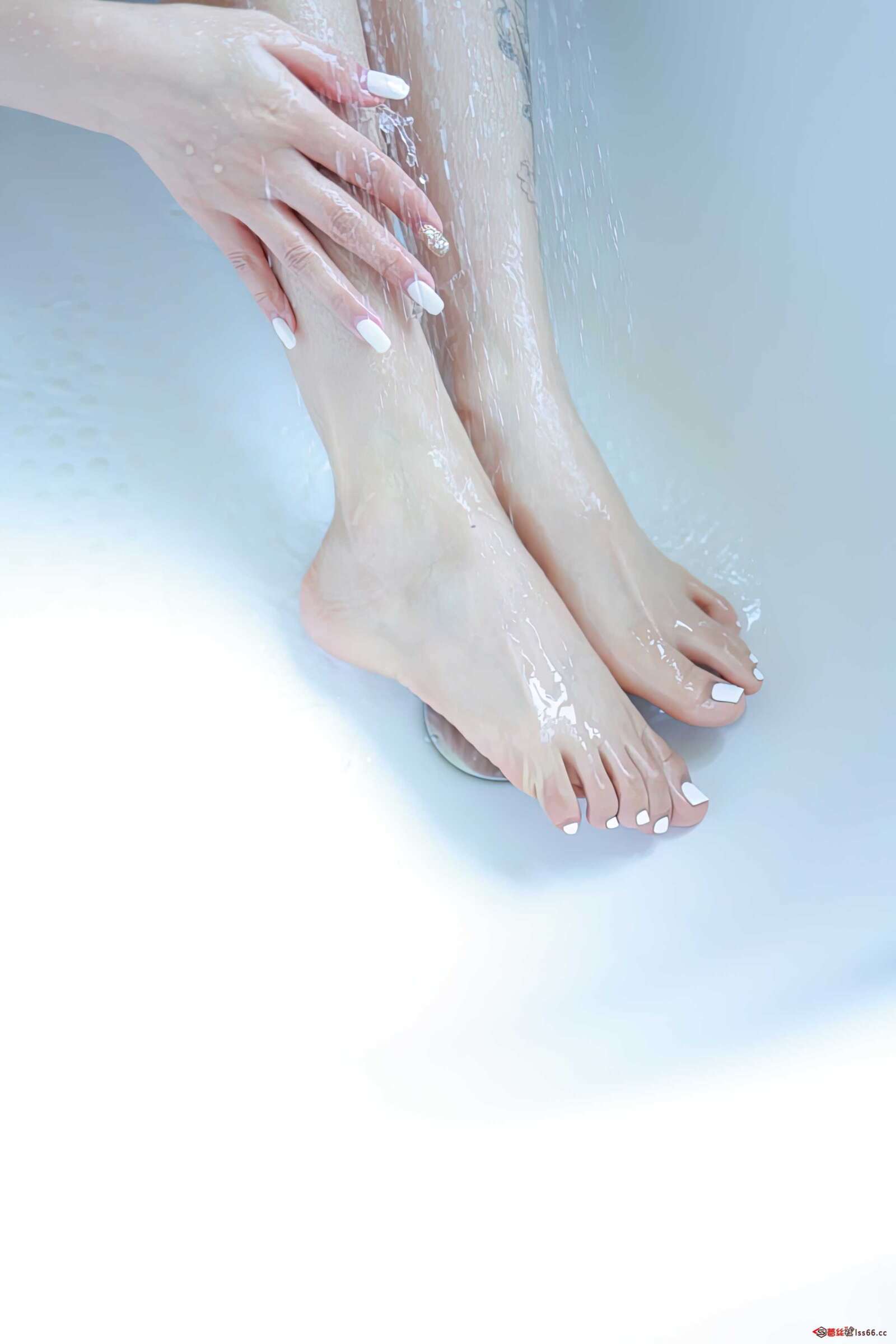 https://www.lss77.com/wp-content/uploads/2021/10/0034-347-1600x2400.jpg