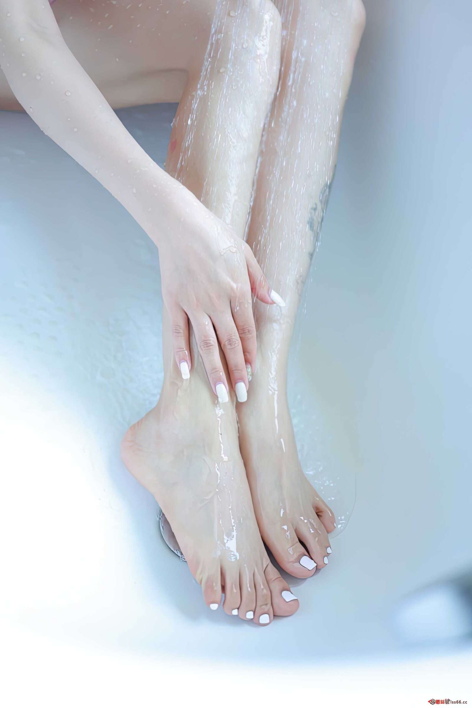 https://www.lss77.com/wp-content/uploads/2021/10/0035-350-1600x2400.jpg