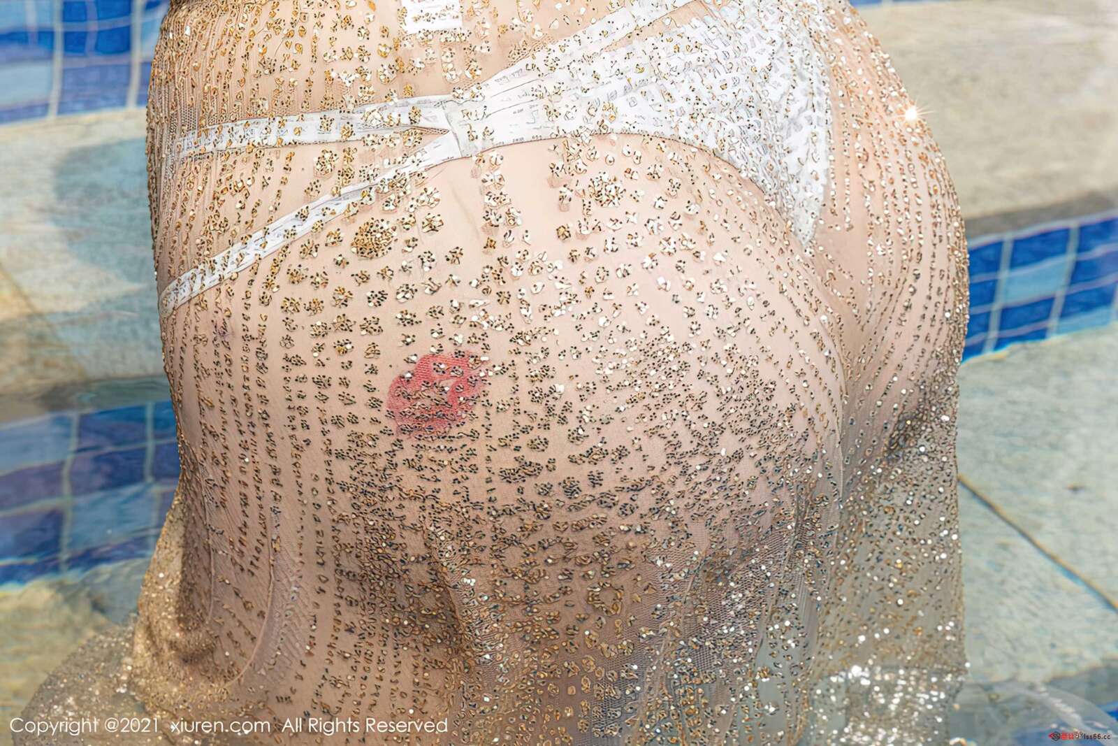 https://www.lss77.com/wp-content/uploads/2021/10/0038-344-1600x1067.jpg