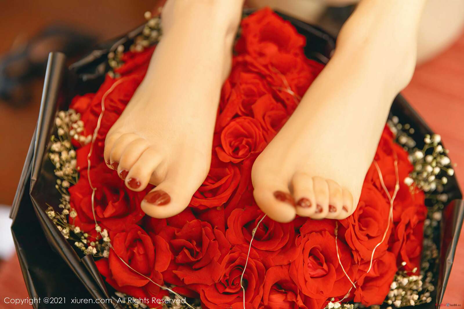 https://www.lss77.com/wp-content/uploads/2021/10/0041-266-1600x1067.jpg