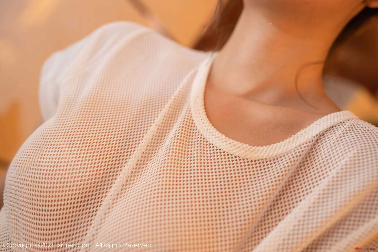 https://www.lss77.com/wp-content/uploads/2021/10/0051-141-1600x1067.jpg