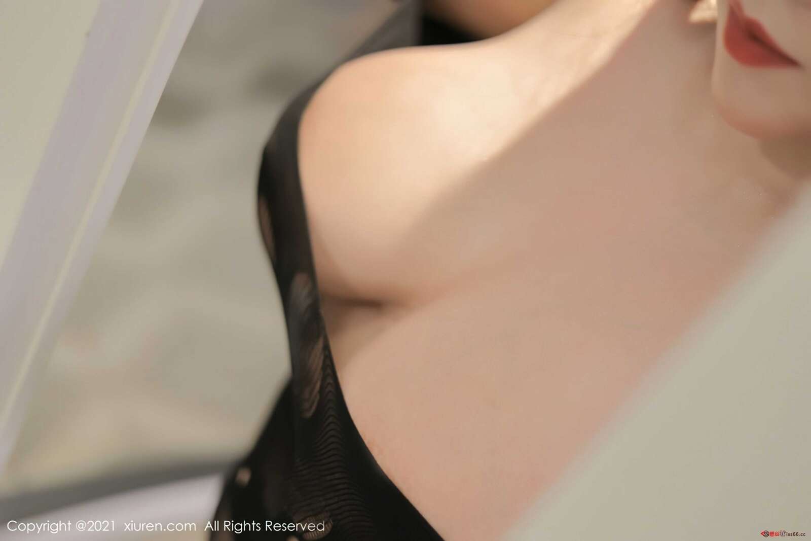 https://www.lss77.com/wp-content/uploads/2021/11/0009-193-1600x1067.jpg