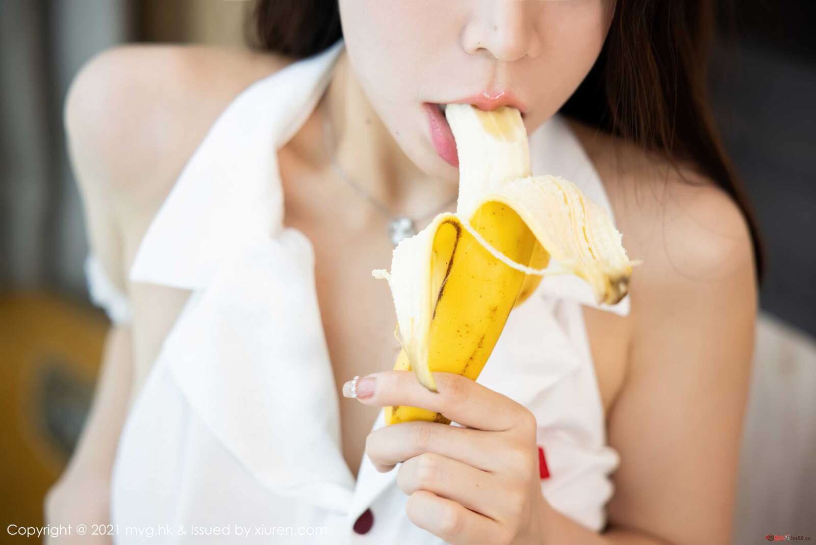 https://www.lss77.com/wp-content/uploads/2021/11/0012-335-1600x1068.jpg