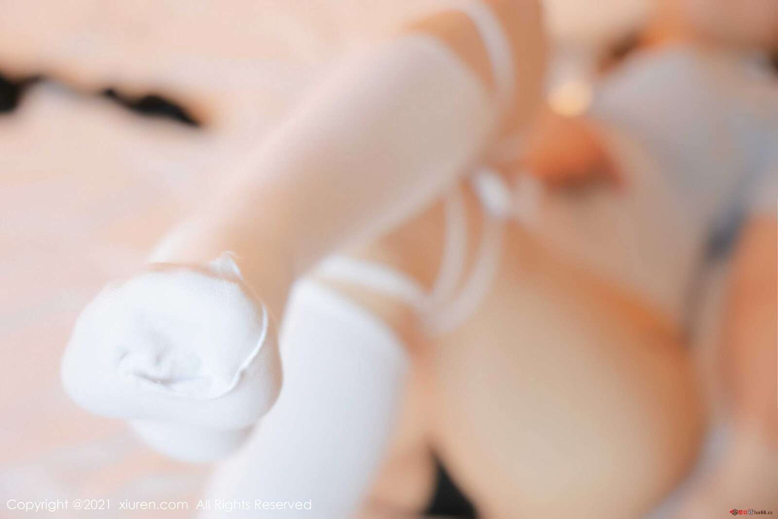 https://www.lss77.com/wp-content/uploads/2021/11/0058-183-1600x1067.jpg