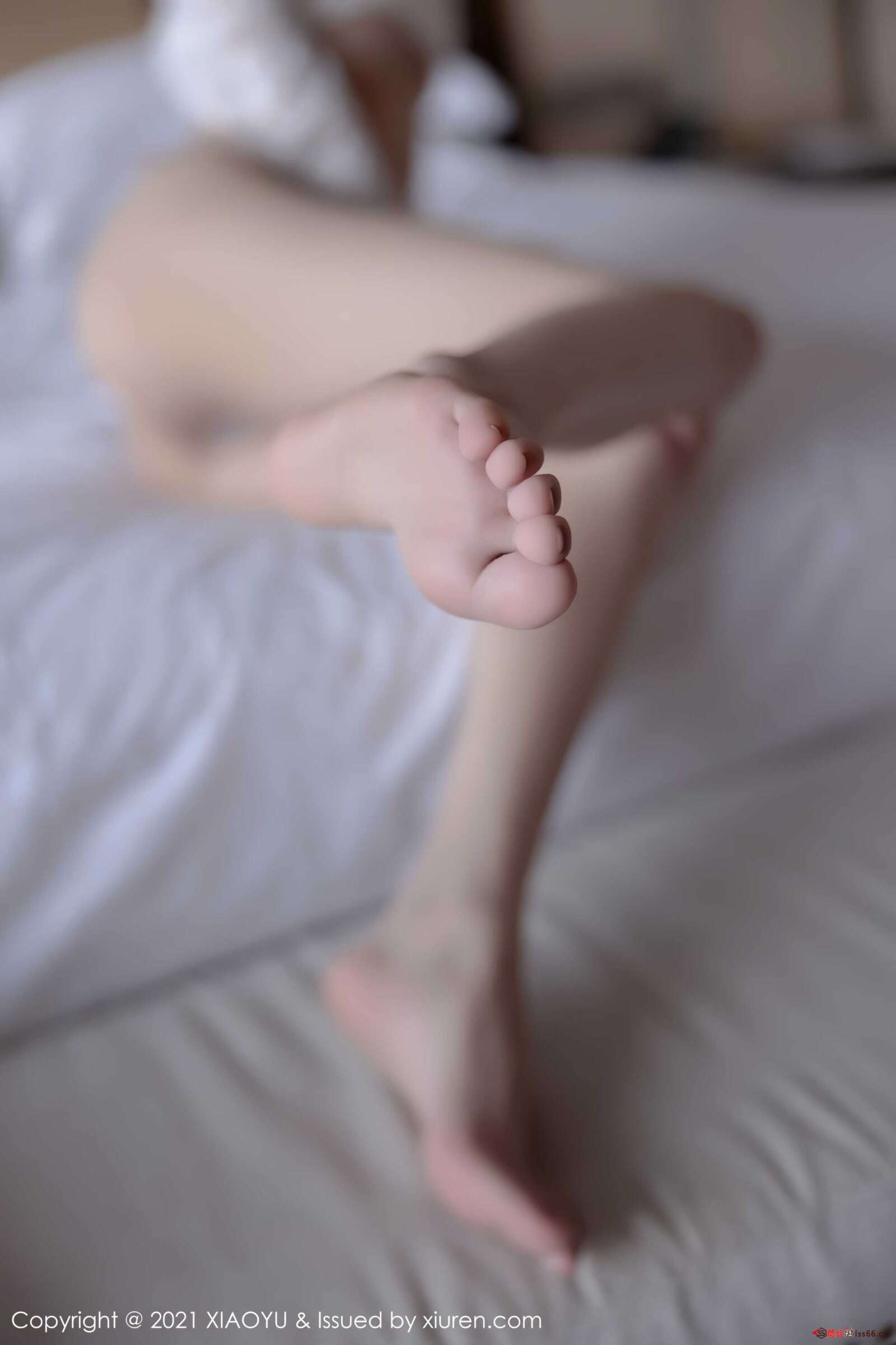 https://www.lss77.com/wp-content/uploads/2021/11/0083-50-1600x2400.jpg