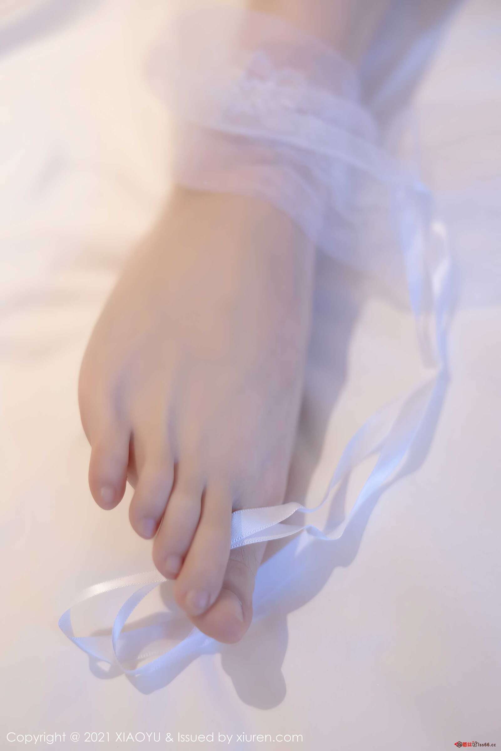 https://www.lss77.com/wp-content/uploads/2021/11/0090-19-1600x2400.jpg