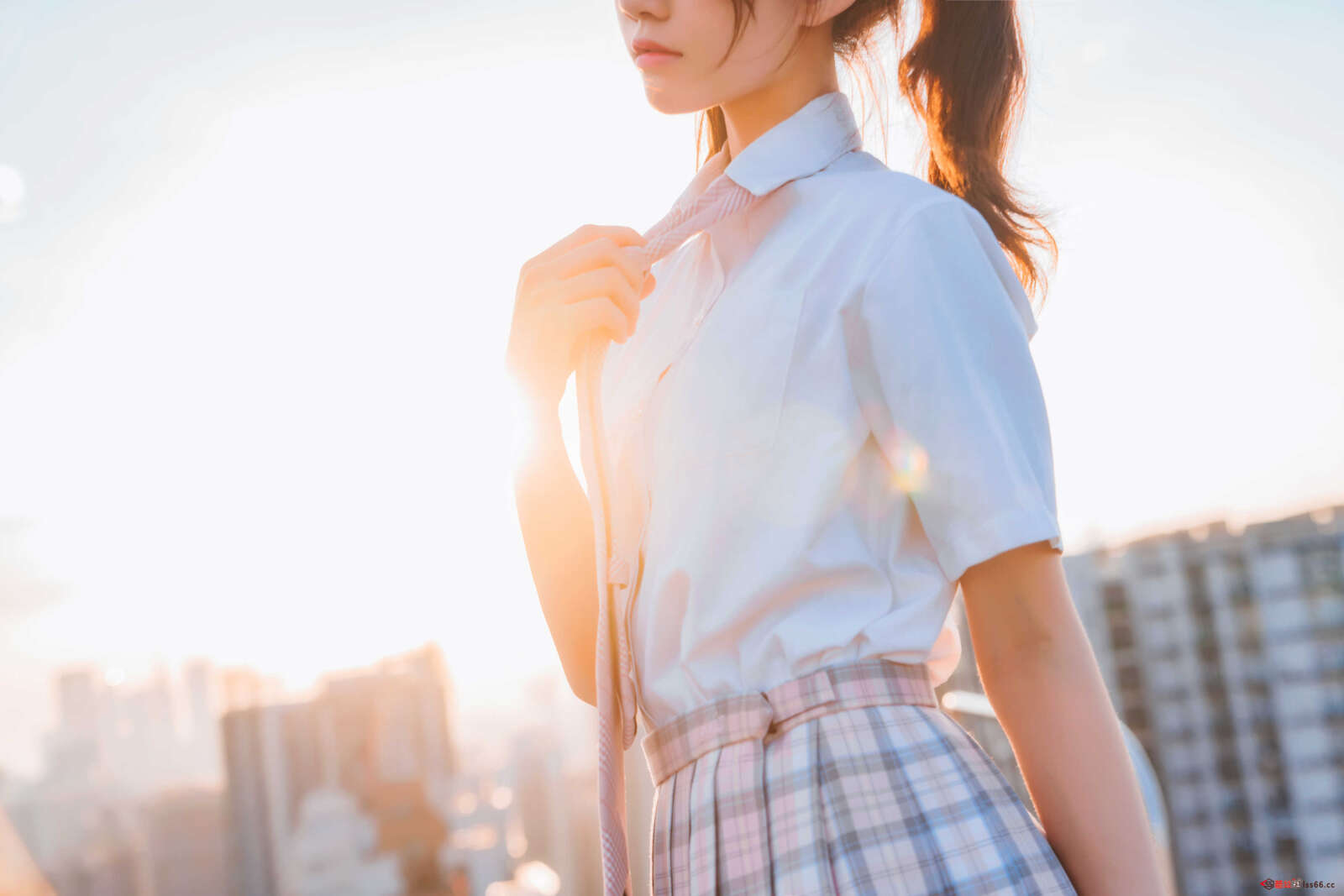 https://www.lss77.com/wp-content/uploads/2021/11/a-12-35-1600x1067.jpg