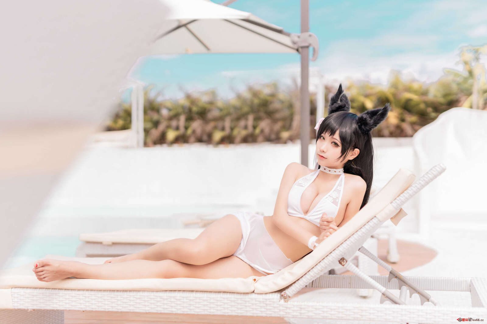 https://www.lss77.com/wp-content/uploads/2021/11/r-19-39-1600x1067.jpg