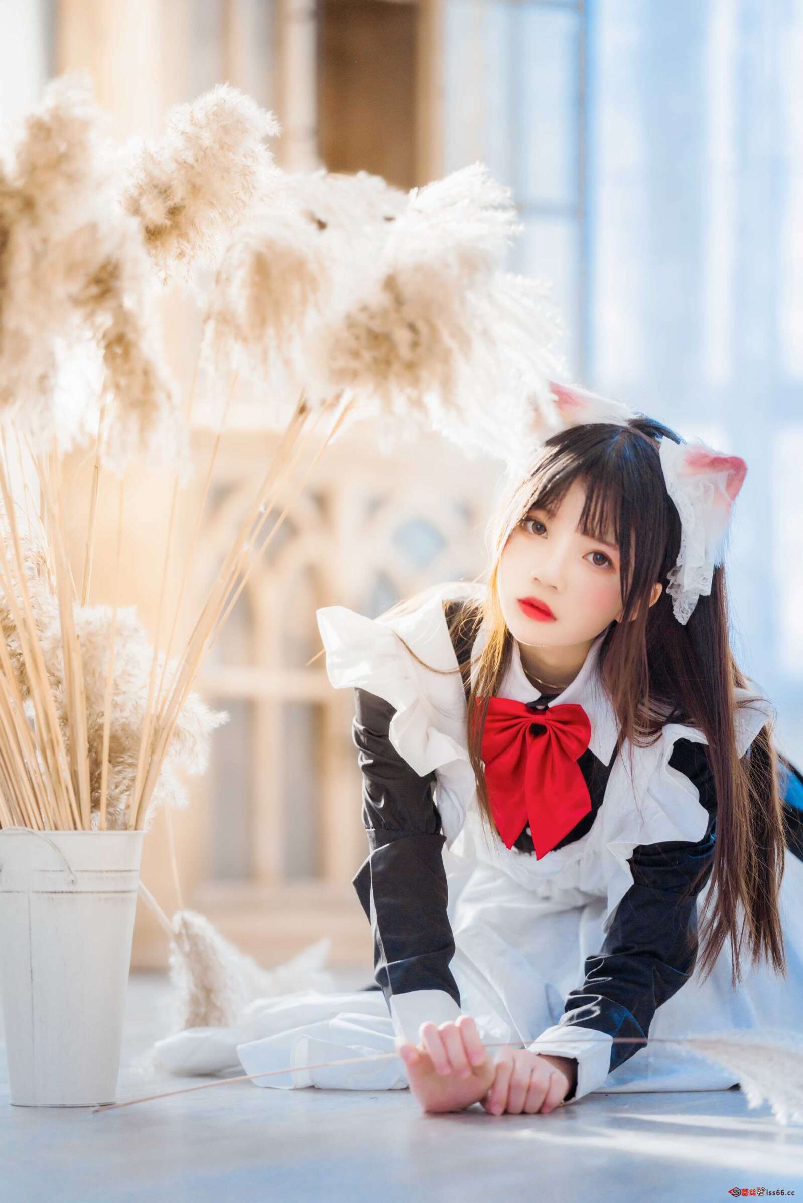 https://www.lss77.com/wp-content/uploads/2021/11/r-23-34-1600x2398.jpg