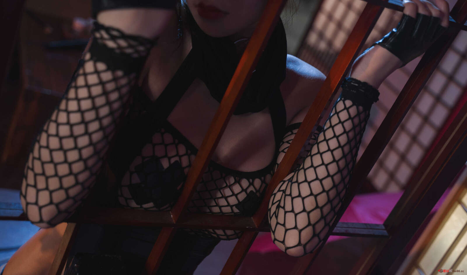 https://www.lss77.com/wp-content/uploads/2021/11/r-48-2-1600x942.jpg