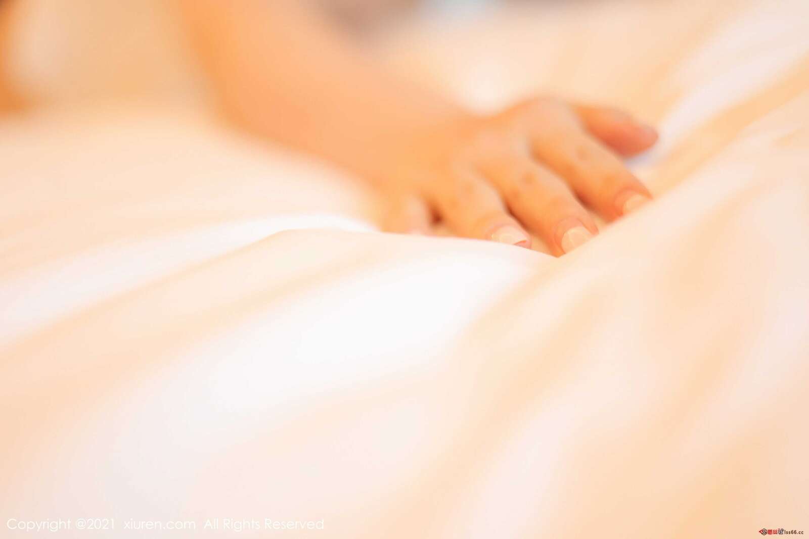 https://www.lss77.com/wp-content/uploads/2021/12/0009-66-1600x1067.jpg