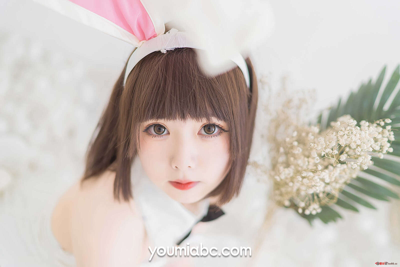 https://www.lss77.com/wp-content/uploads/2022/01/0020-274-1600x1067.jpg