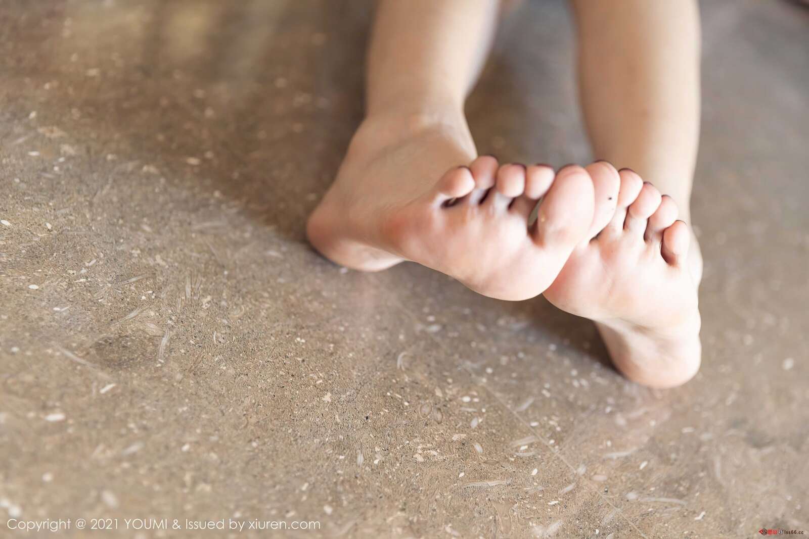 https://www.lss77.com/wp-content/uploads/2022/01/0037-176-1600x1067.jpg