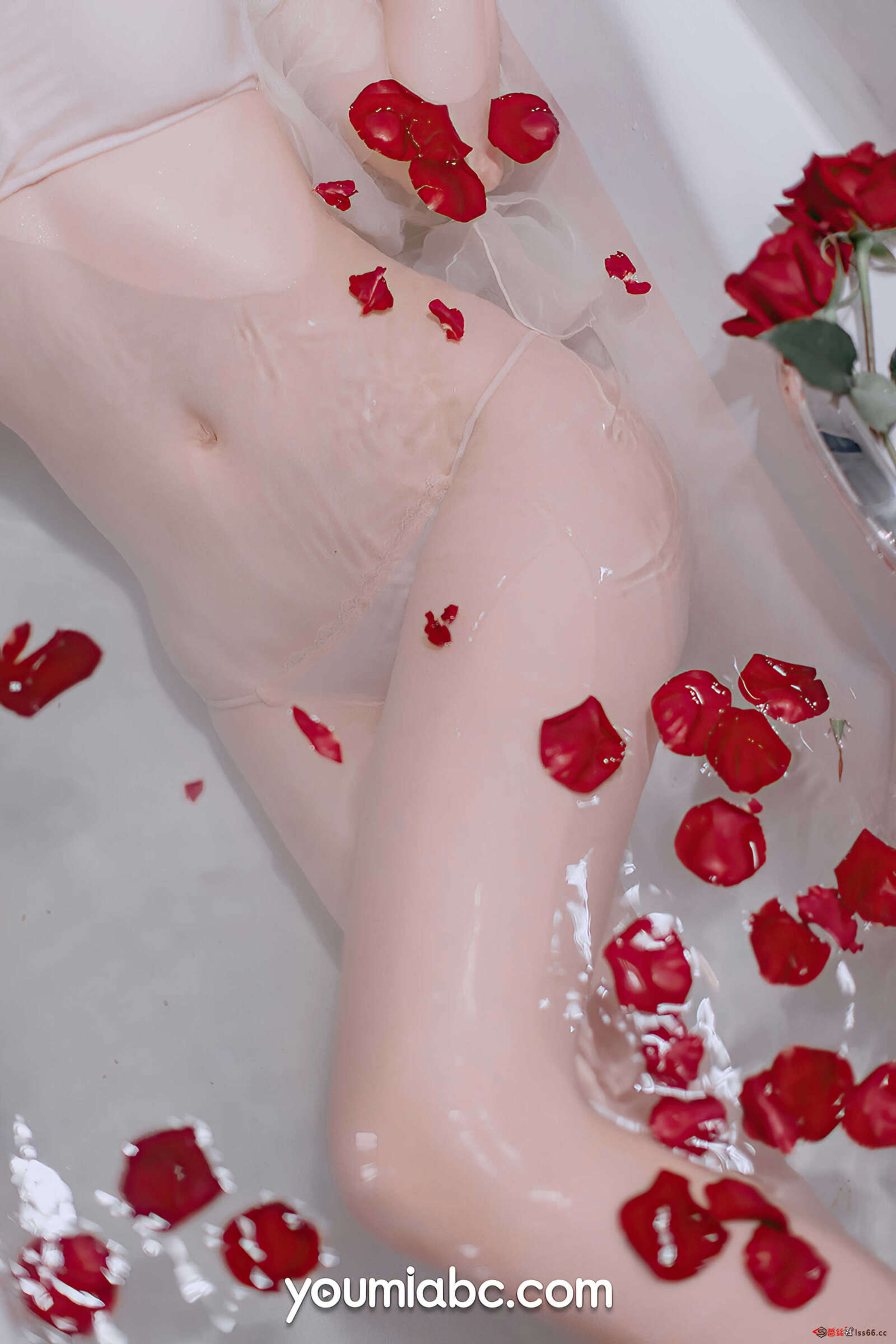 https://www.lss77.com/wp-content/uploads/2022/01/0045-205-1600x2400.jpg
