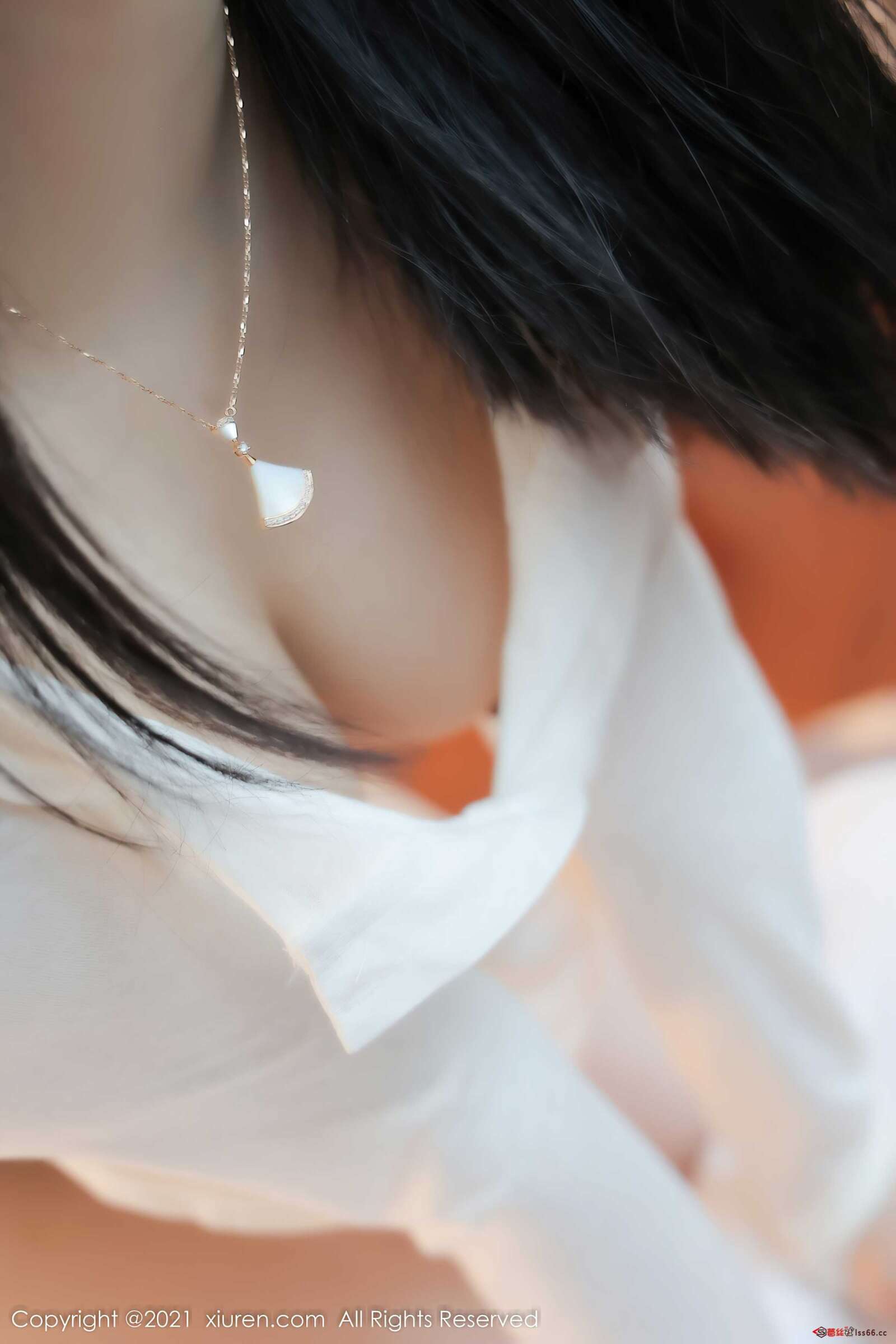 https://www.lss77.com/wp-content/uploads/2022/01/0048-118-1600x2400.jpg
