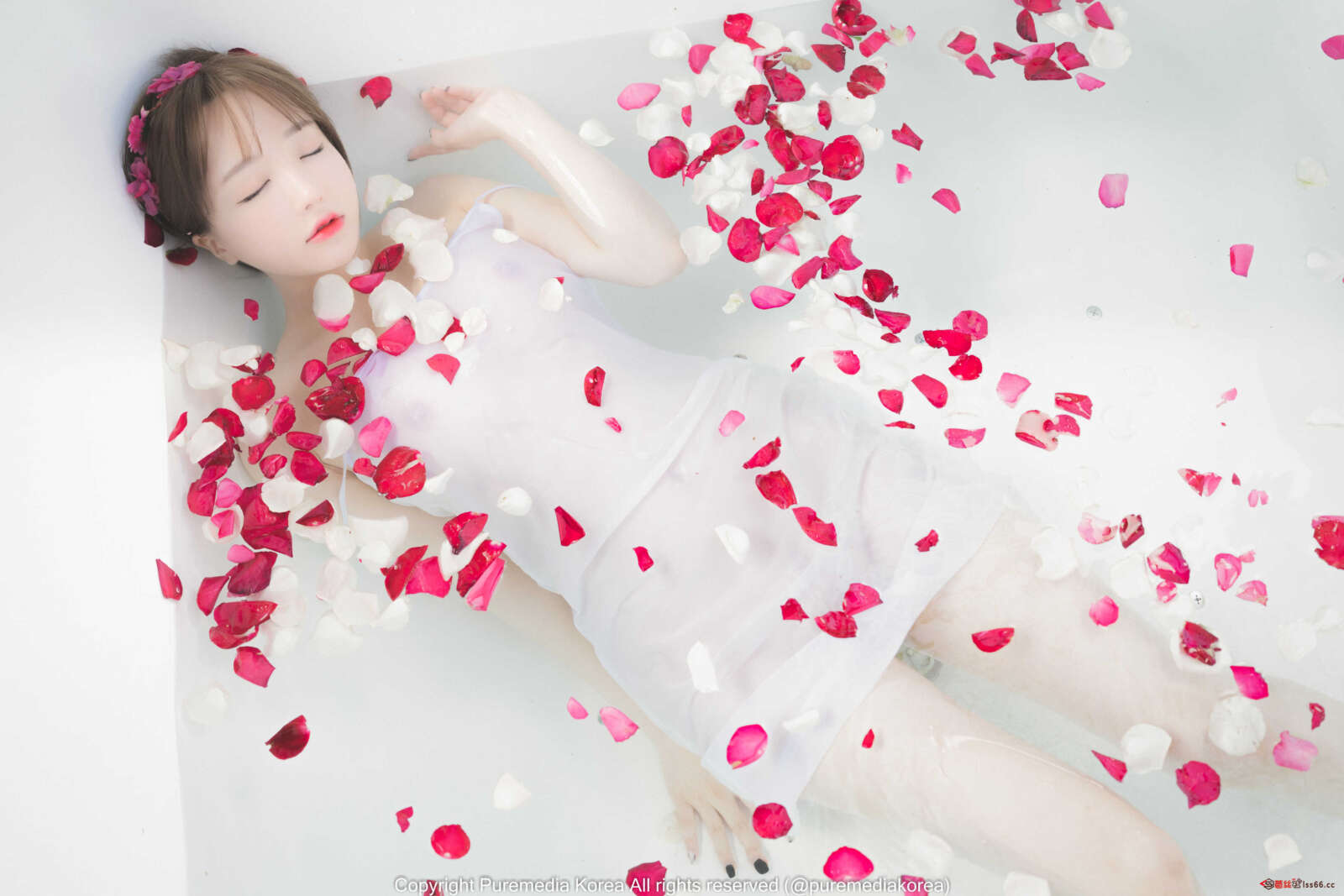 https://www.lss77.com/wp-content/uploads/2022/01/91-6-1600x1067.jpg
