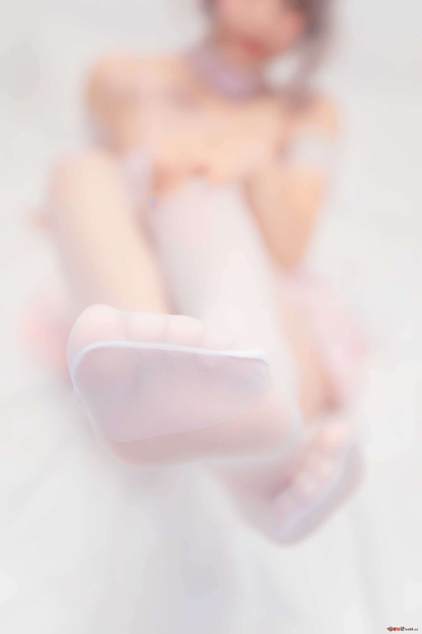 https://www.lss77.com/wp-content/uploads/2022/01/C-5-1600x2400.jpg