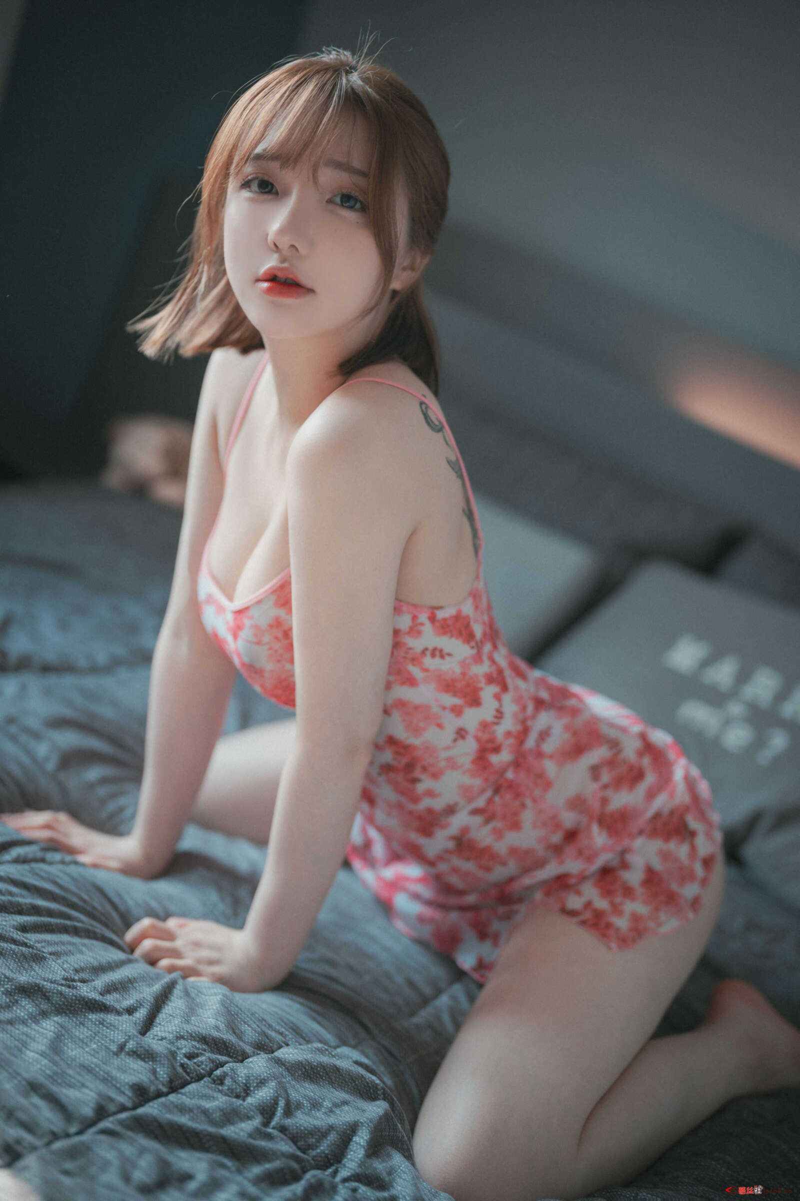 https://www.lss77.com/wp-content/uploads/2022/01/cover-480-1600x2400.jpg