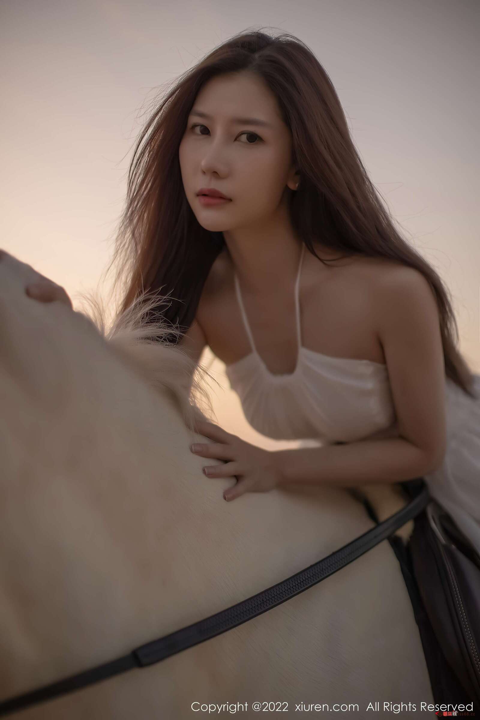 https://www.lss77.com/wp-content/uploads/2022/02/0002-126-1600x2400.jpg