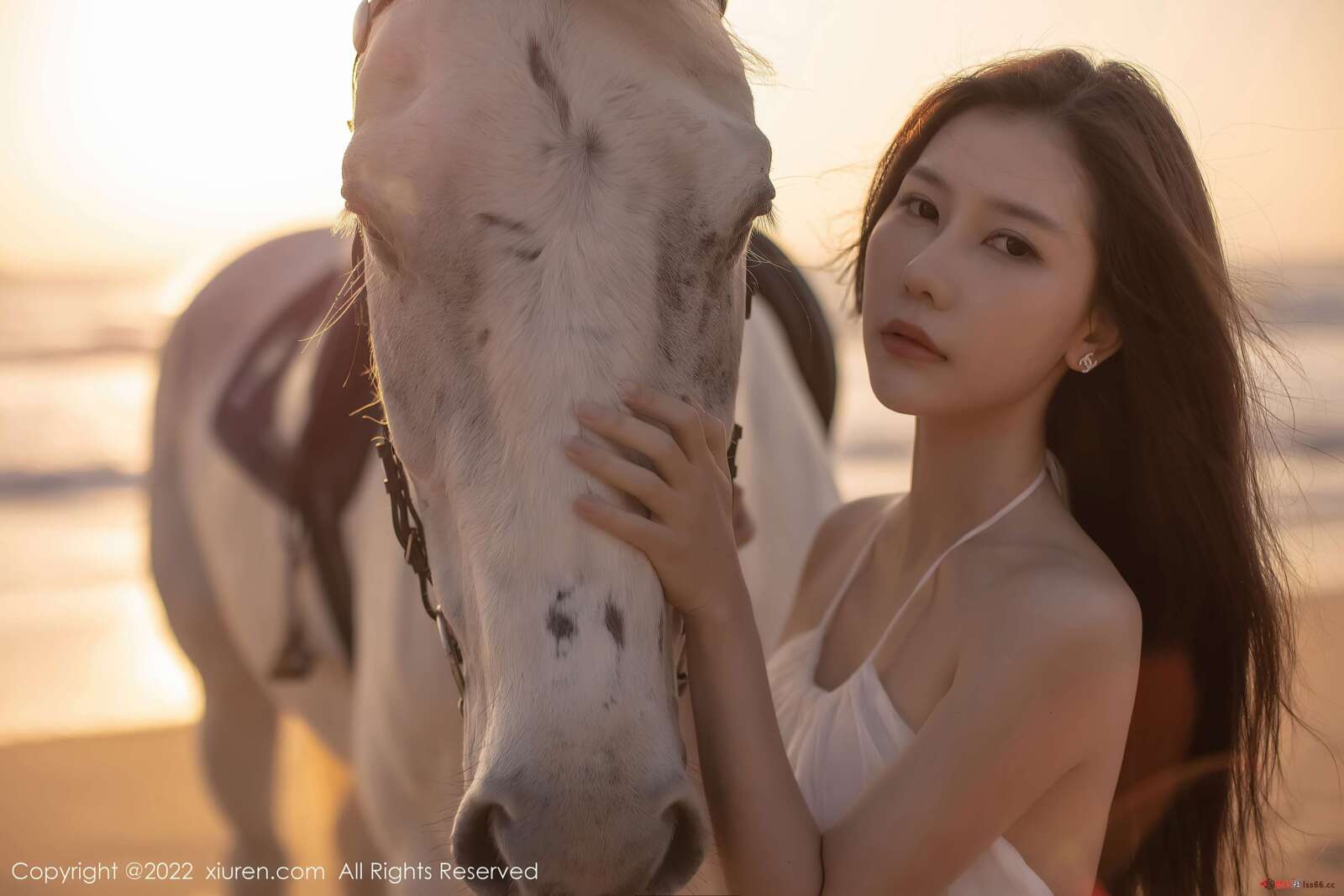 https://www.lss77.com/wp-content/uploads/2022/02/0009-121-1600x1067.jpg