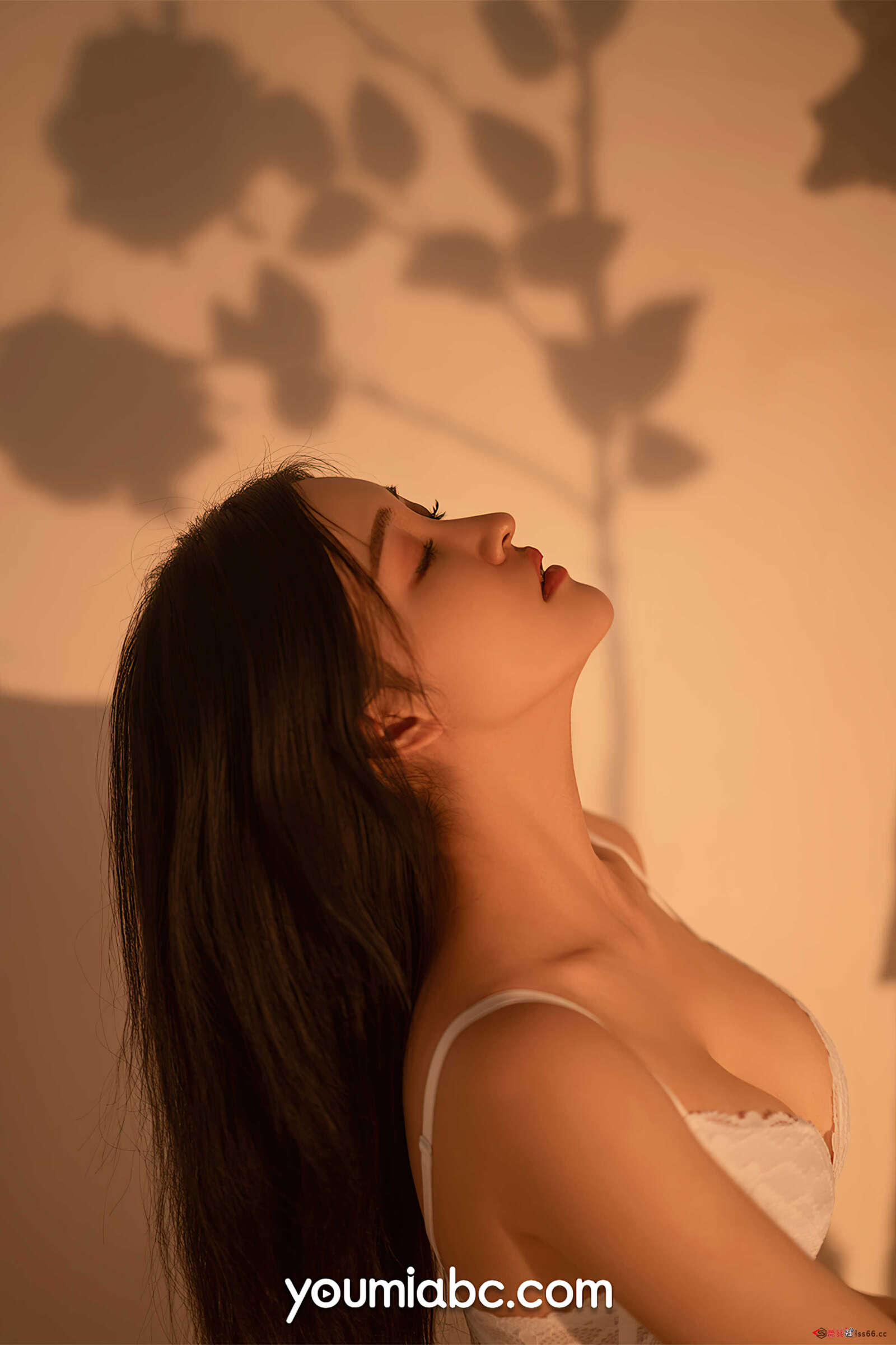 https://www.lss77.com/wp-content/uploads/2022/02/0026-20-1600x2400.jpg