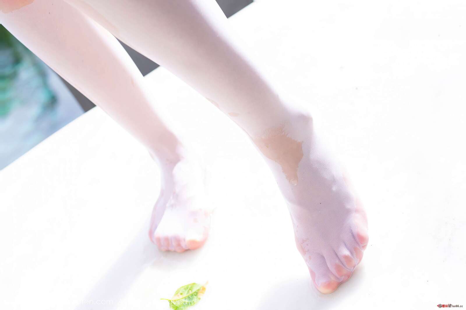 https://www.lss77.com/wp-content/uploads/2022/02/0039-50-1600x1067.jpg