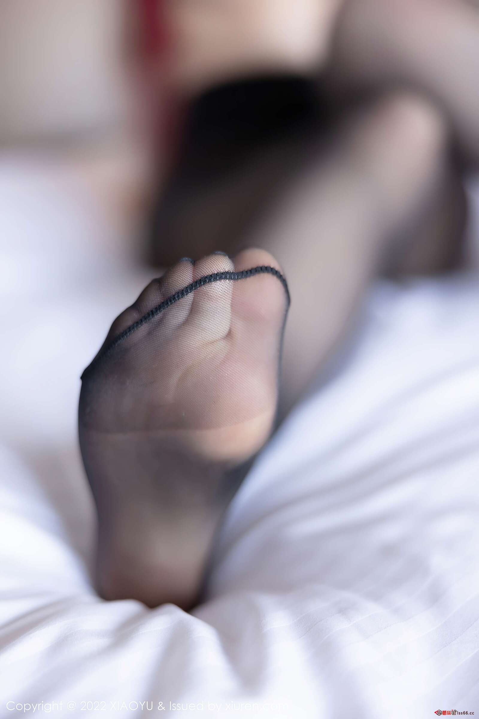 https://www.lss77.com/wp-content/uploads/2022/02/0046-176-1600x2400.jpg