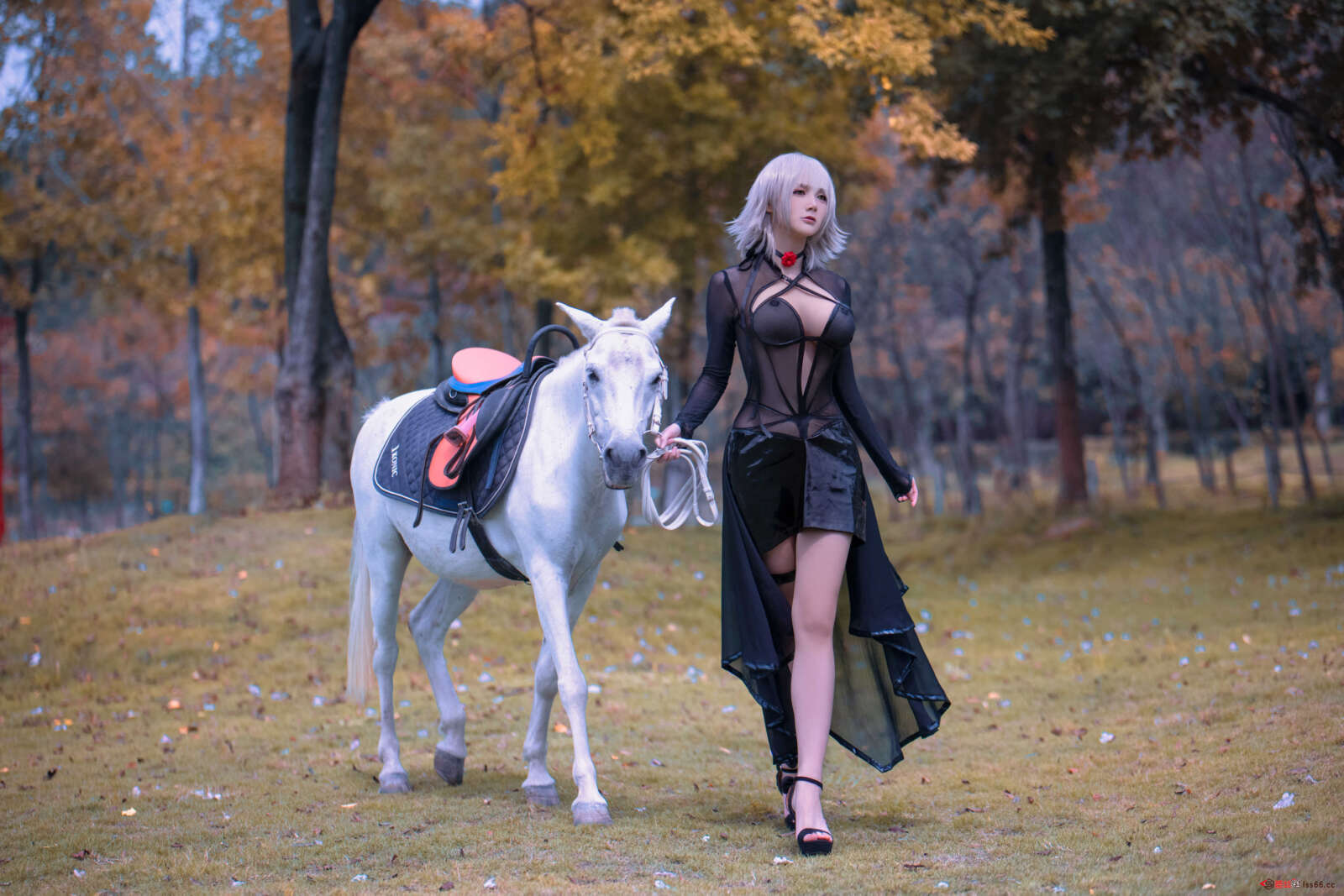 https://www.lss77.com/wp-content/uploads/2022/02/0104-12-1600x1067.jpg