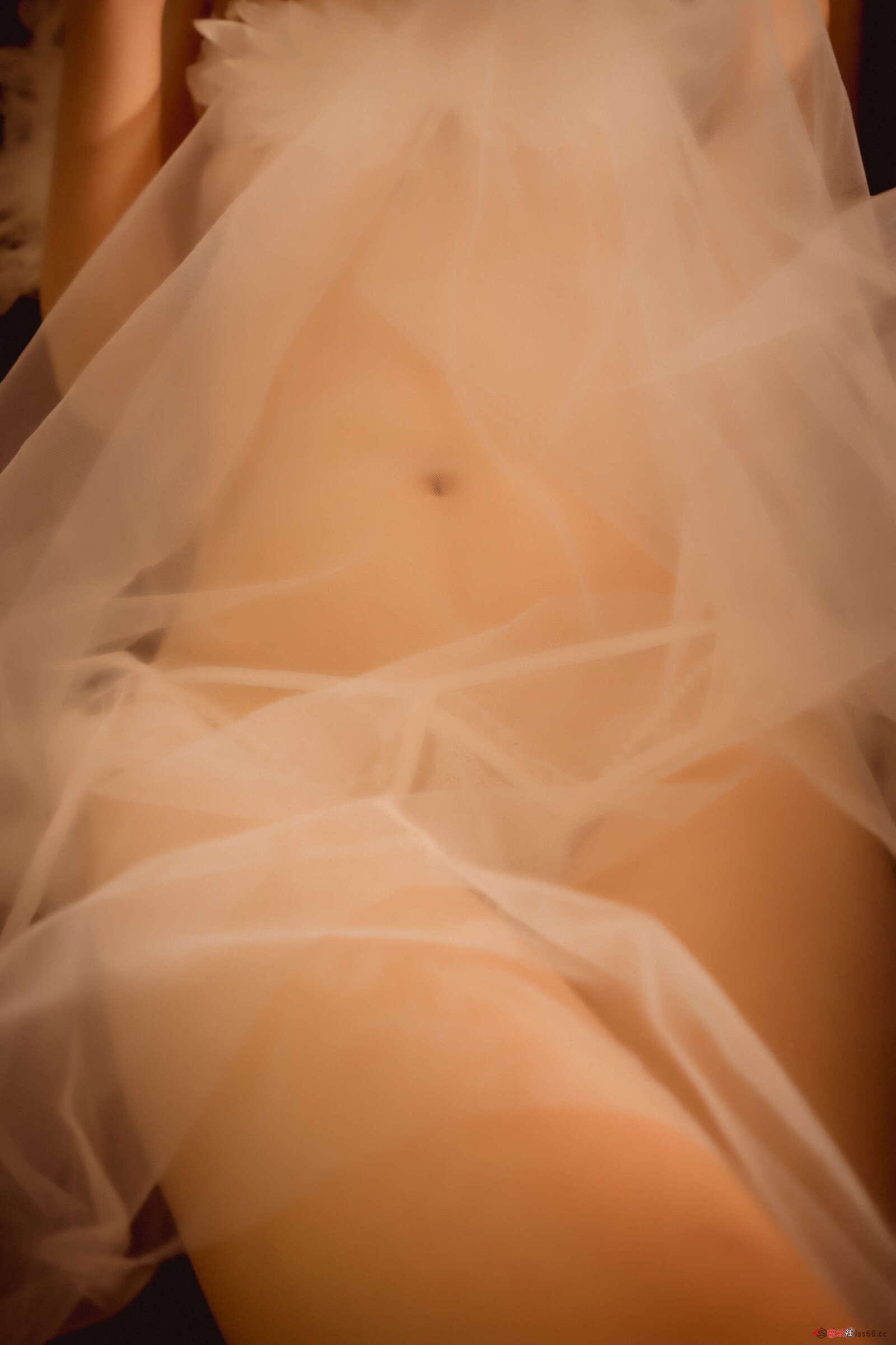 https://www.lss77.com/wp-content/uploads/2022/02/10-99-1600x2400.jpg