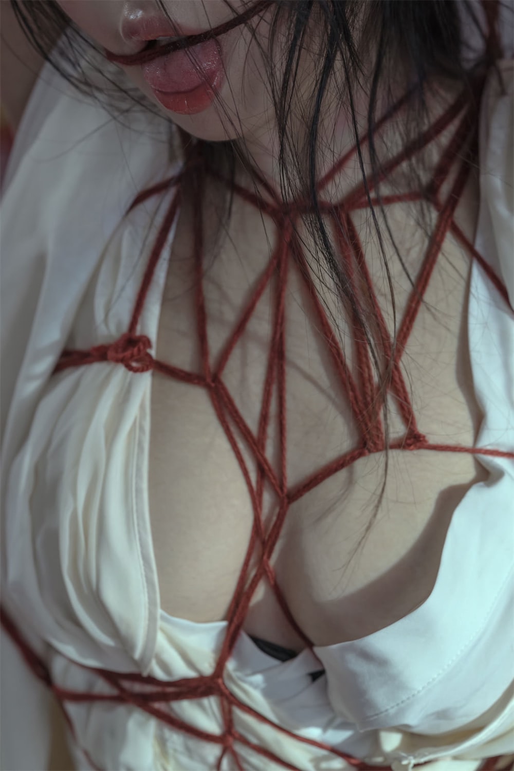 https://www.lss77.com/wp-content/uploads/2022/02/23-54.jpg
