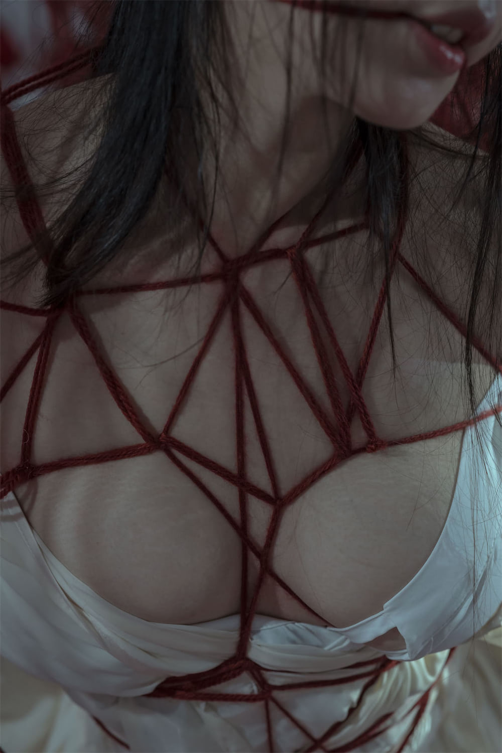 https://www.lss77.com/wp-content/uploads/2022/02/26-47.jpg