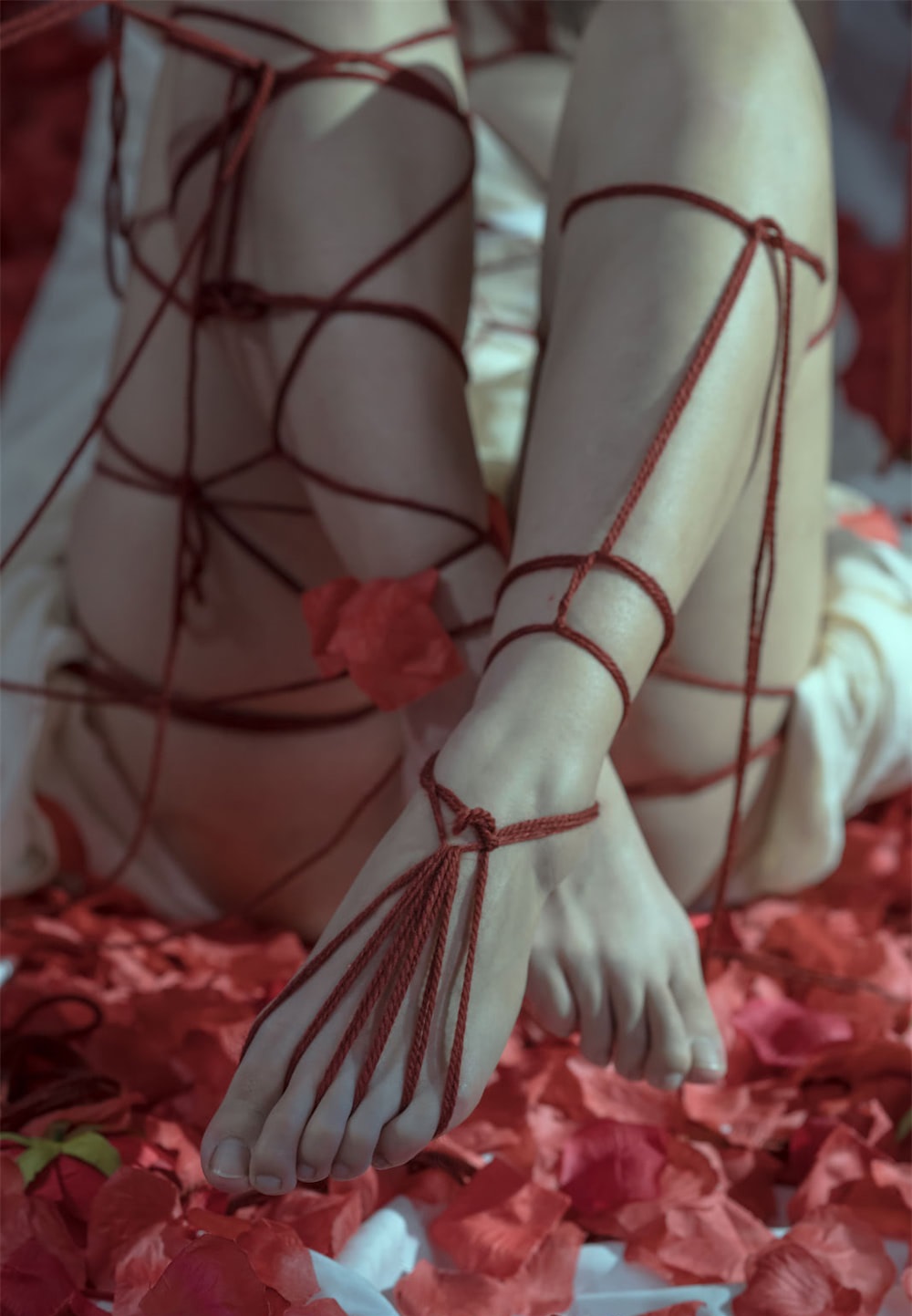 https://www.lss77.com/wp-content/uploads/2022/02/43-30.jpg