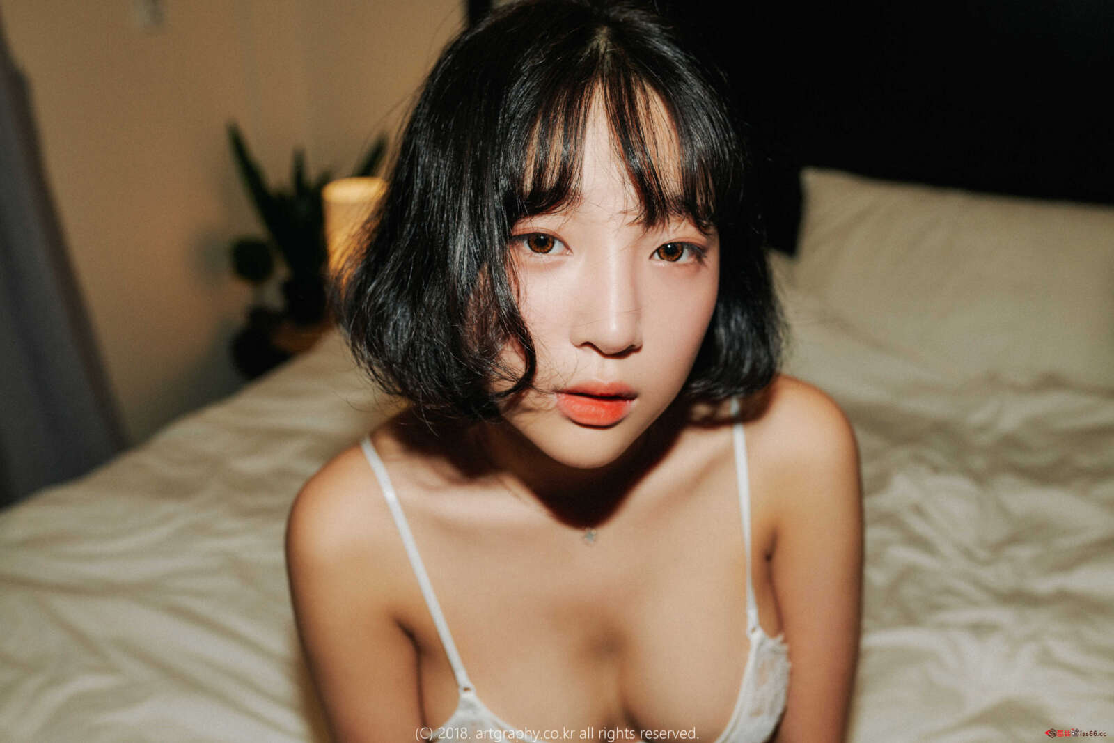 https://www.lss77.com/wp-content/uploads/2022/02/48-2-1600x1067.jpg