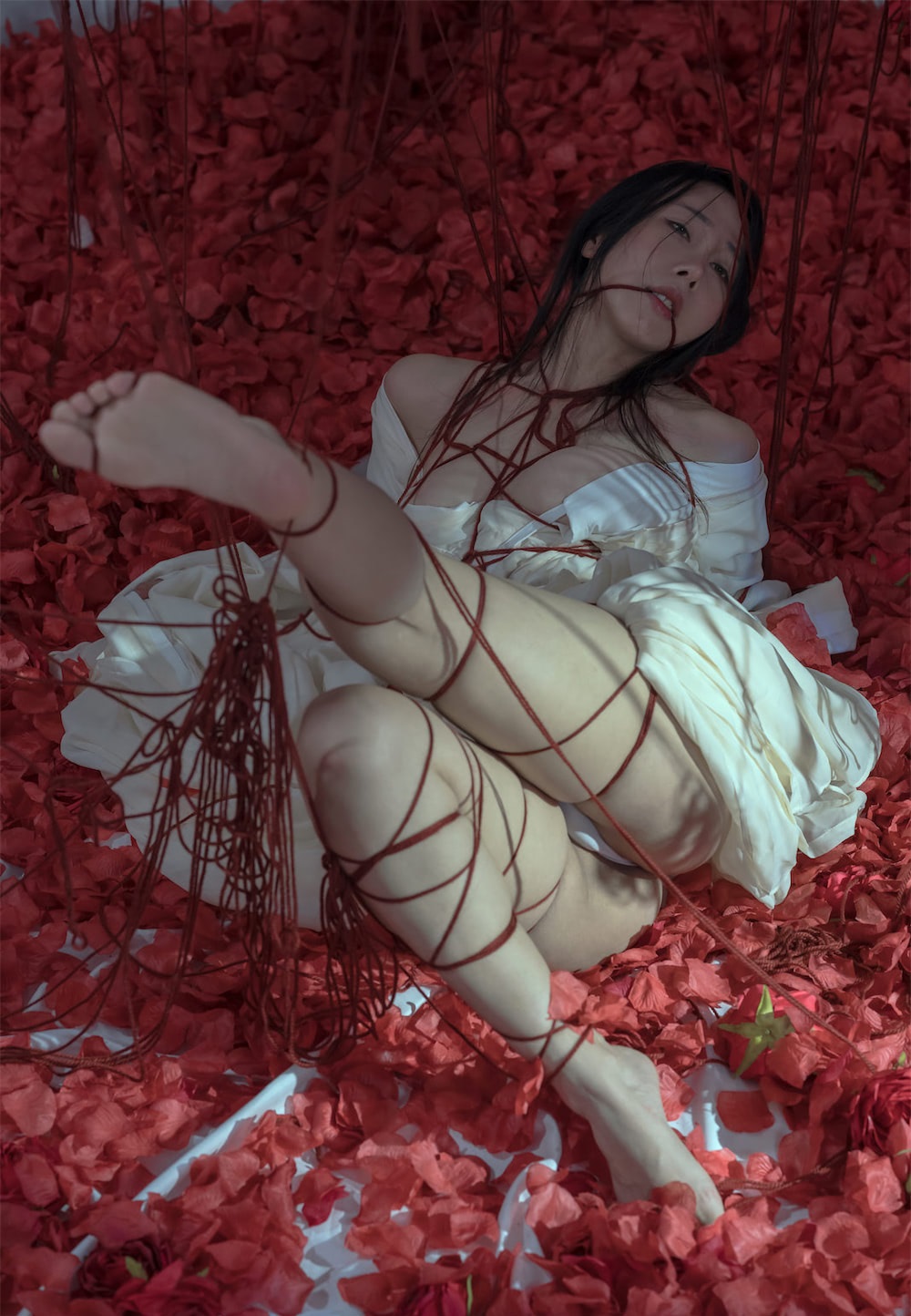 https://www.lss77.com/wp-content/uploads/2022/02/5-63.jpg