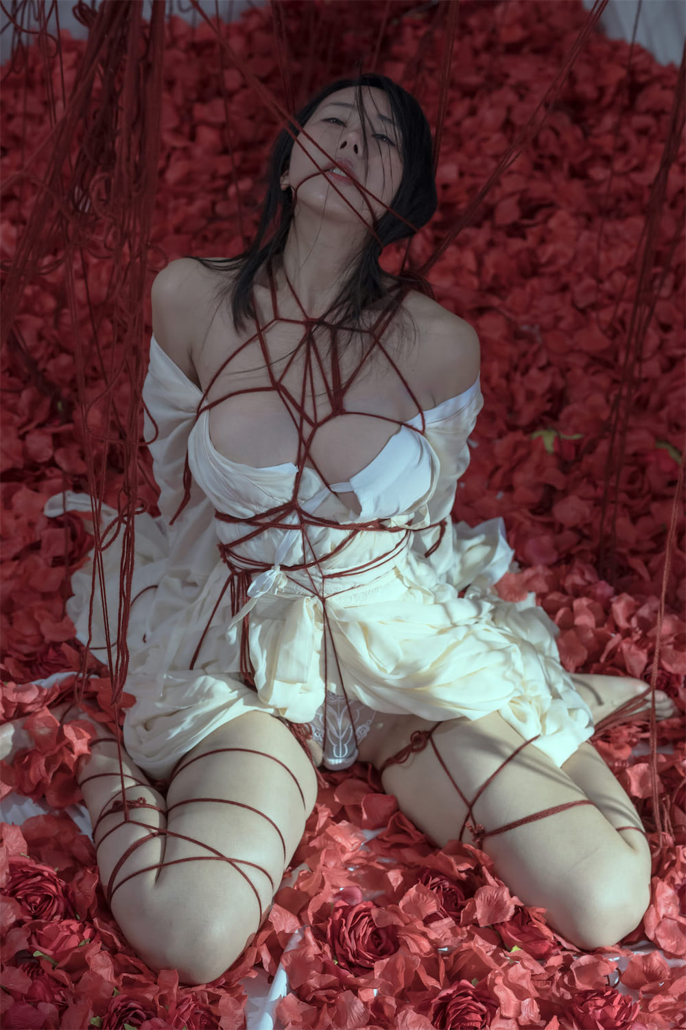 https://www.lss77.com/wp-content/uploads/2022/02/6-60.jpg