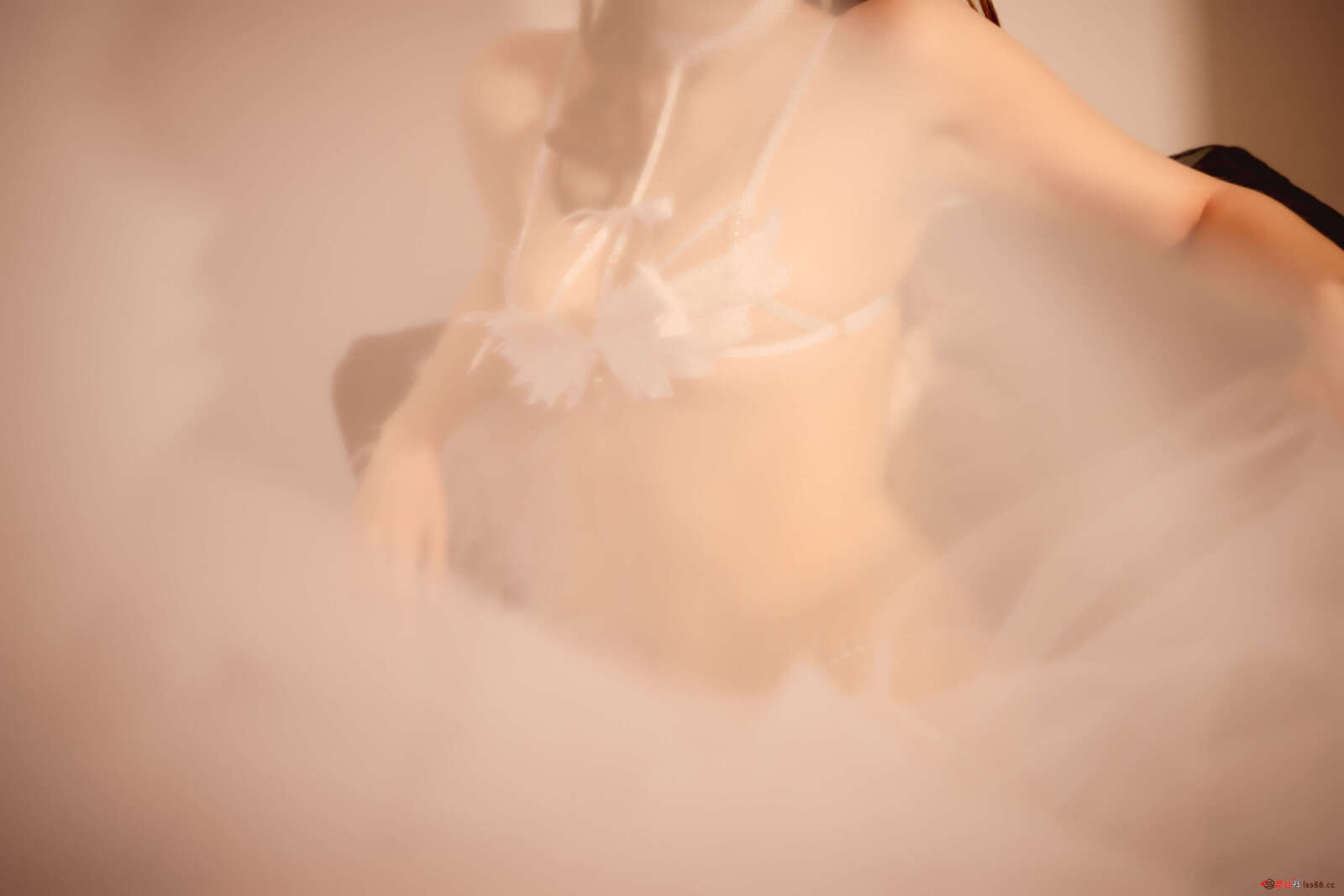 https://www.lss77.com/wp-content/uploads/2022/02/7-96-1600x1067.jpg