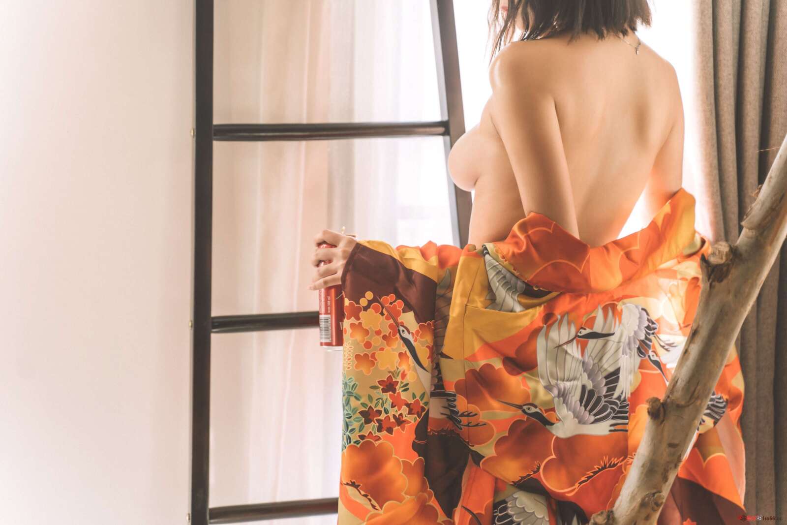 https://www.lss77.com/wp-content/uploads/2022/02/bxiao2-9-31-1600x1067.jpg