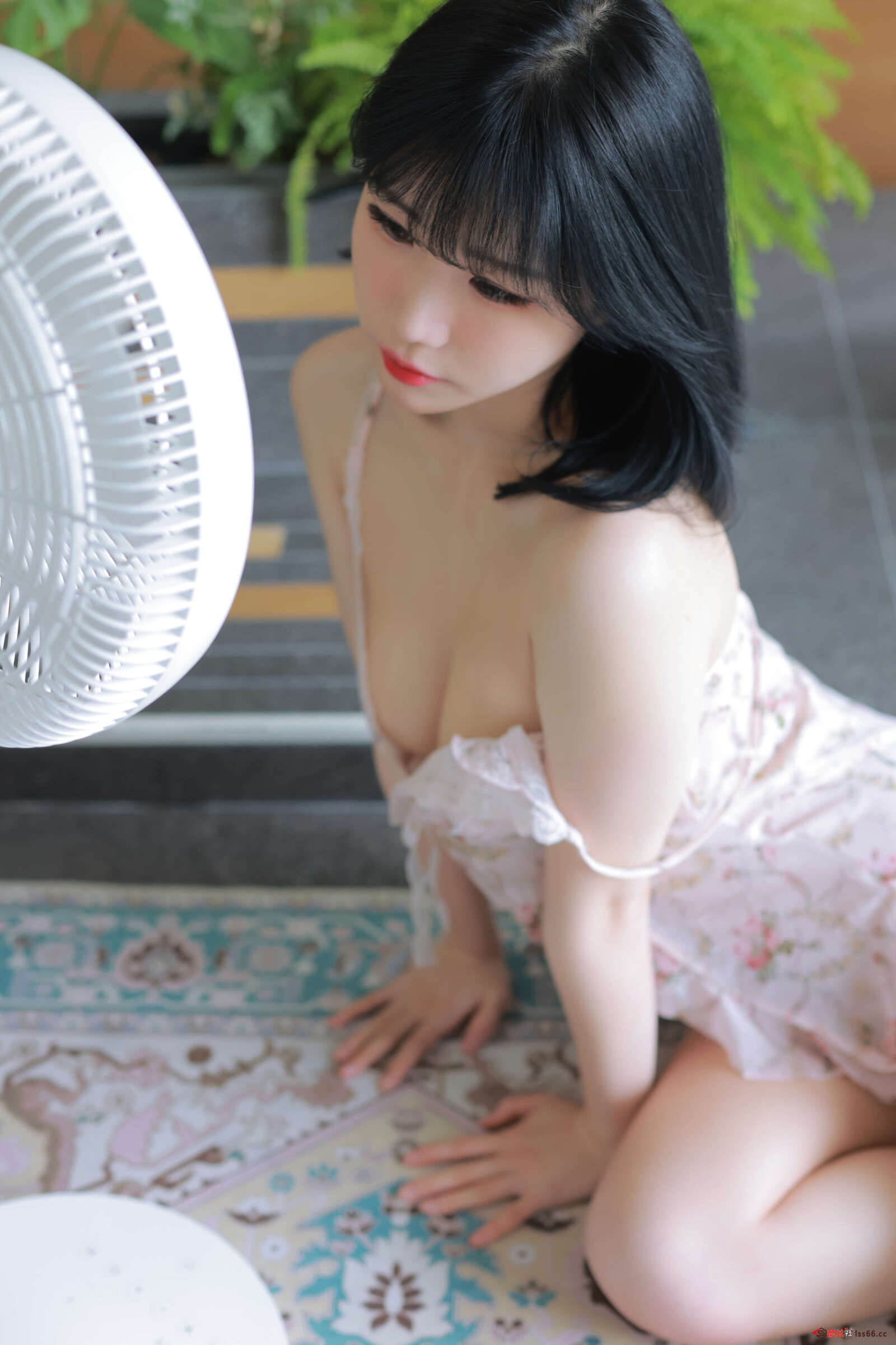 https://www.lss77.com/wp-content/uploads/2022/03/0006-35-1600x2400.jpg