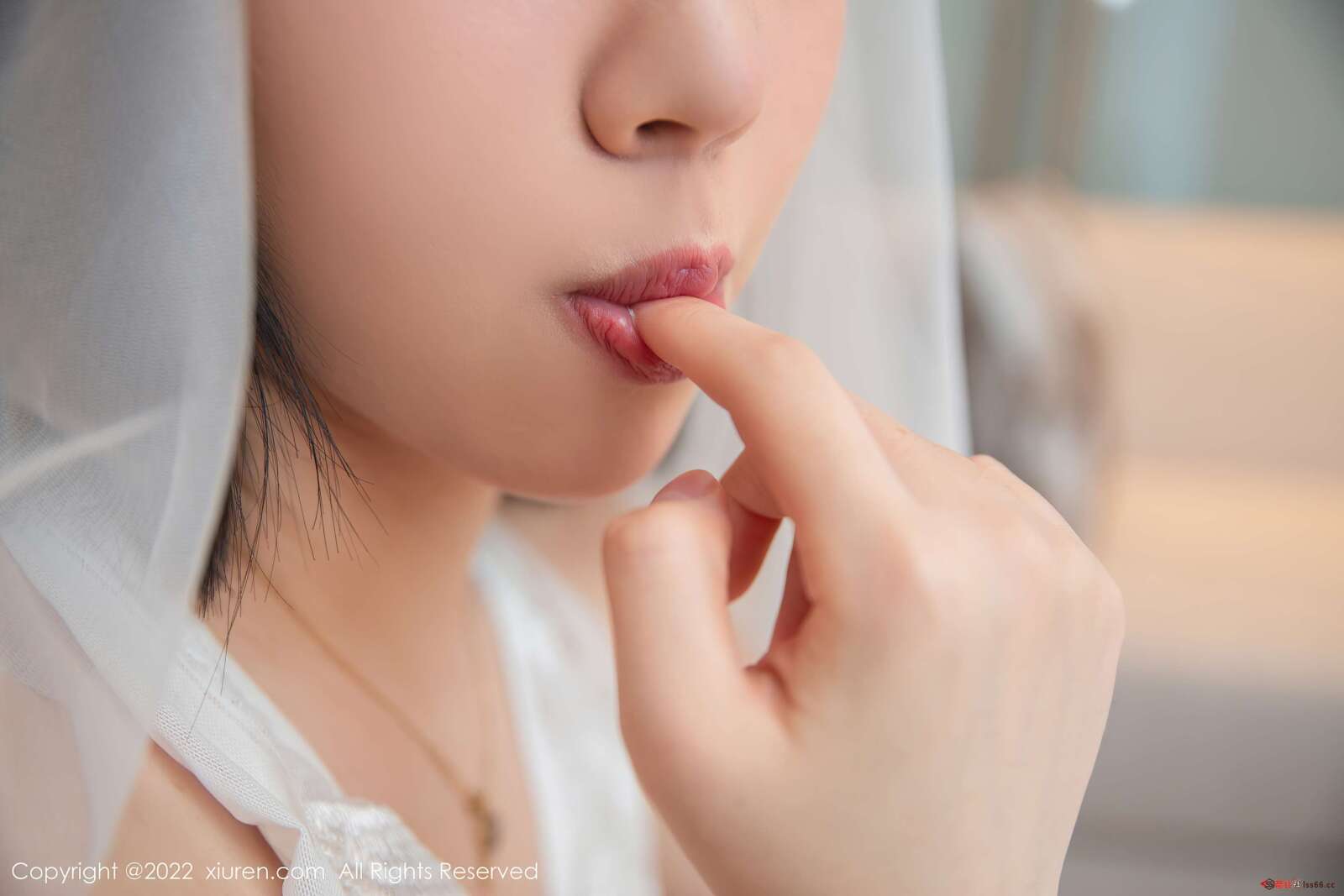 https://www.lss77.com/wp-content/uploads/2022/03/0010-19-1600x1067.jpg