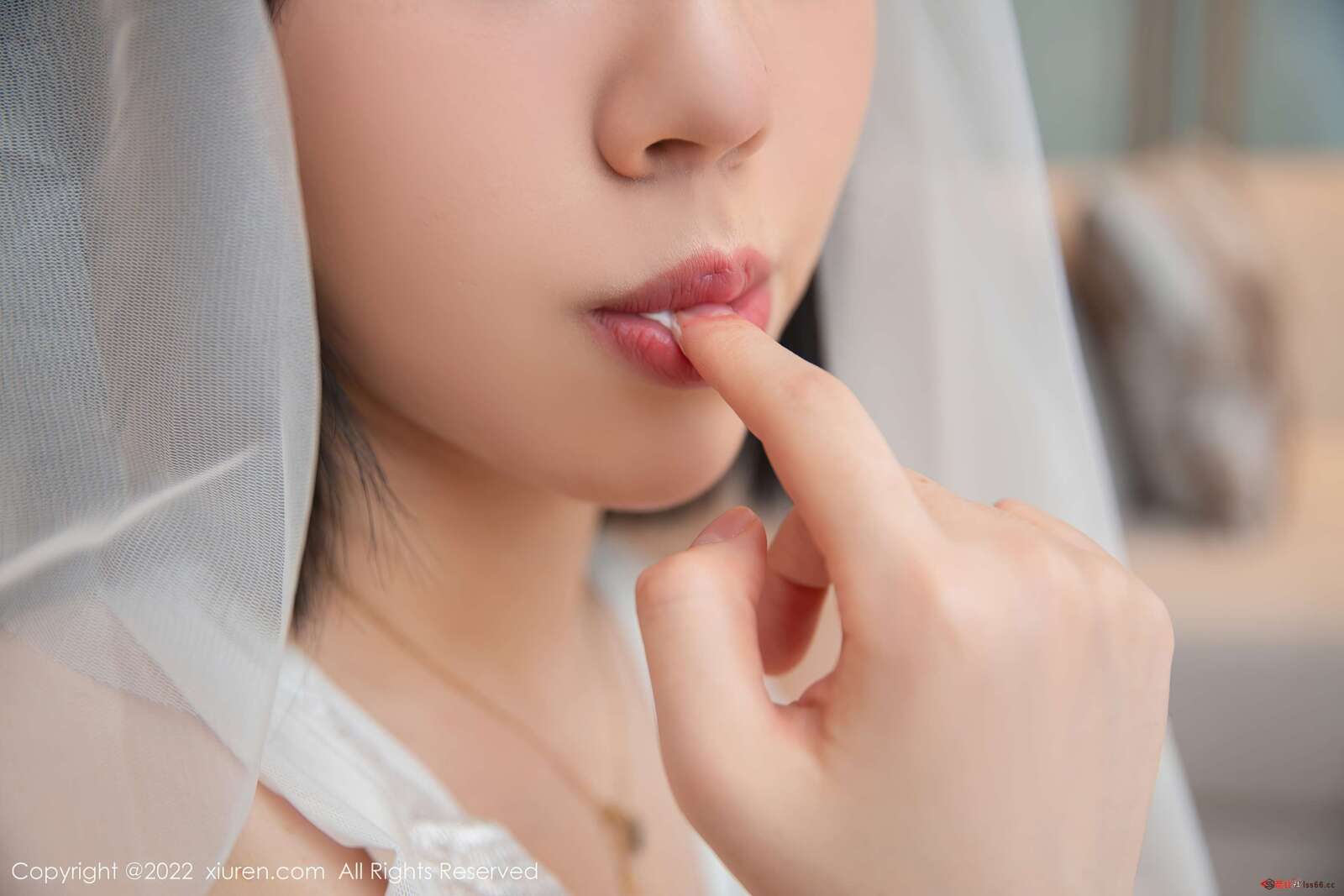 https://www.lss77.com/wp-content/uploads/2022/03/0011-19-1600x1067.jpg