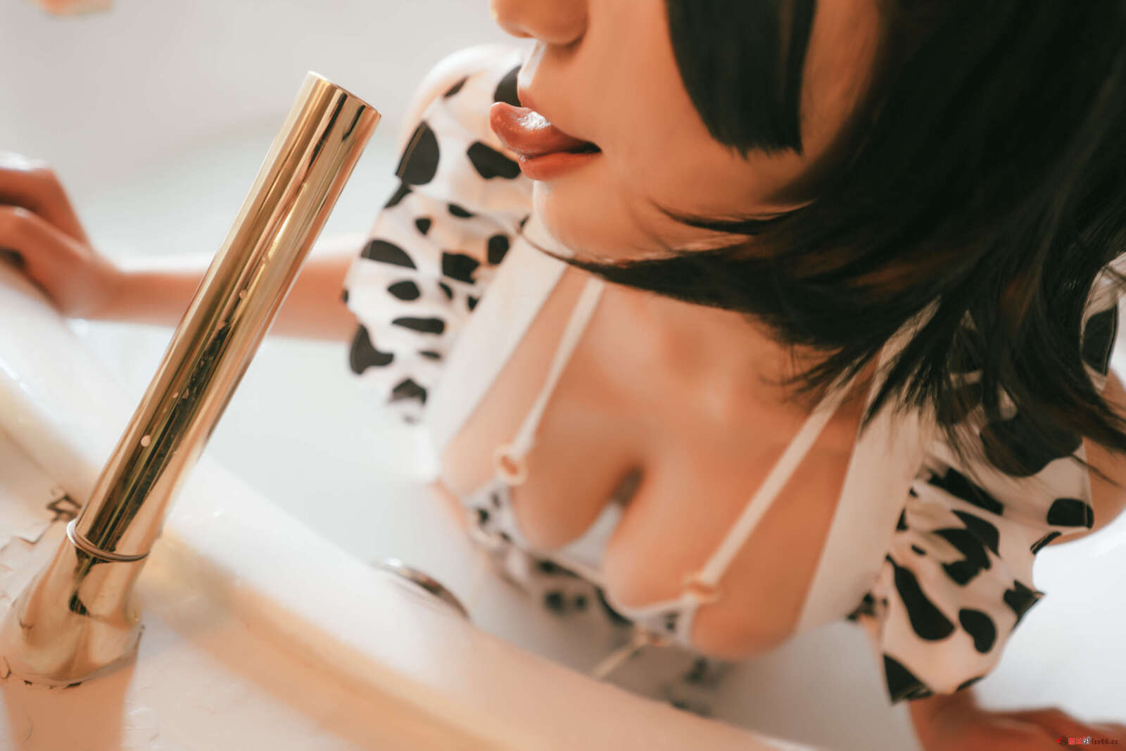 https://www.lss77.com/wp-content/uploads/2022/03/0014-65-1600x1067.jpg