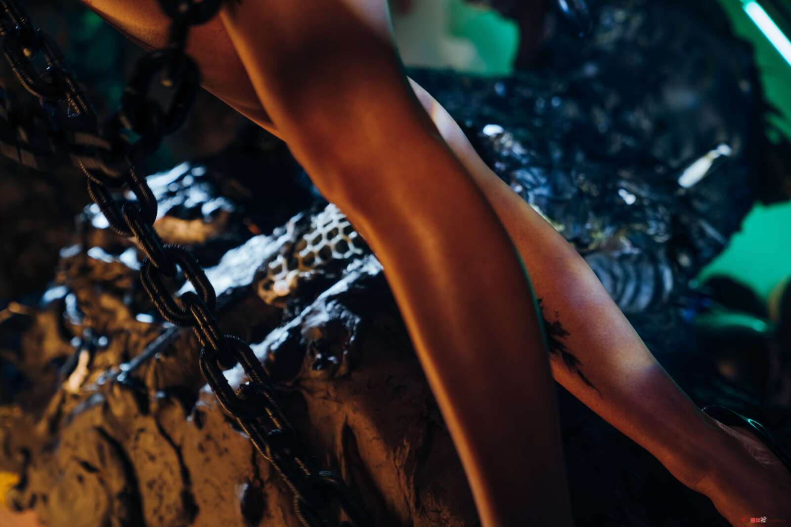 https://www.lss77.com/wp-content/uploads/2022/03/0048-155-1600x1067.jpg