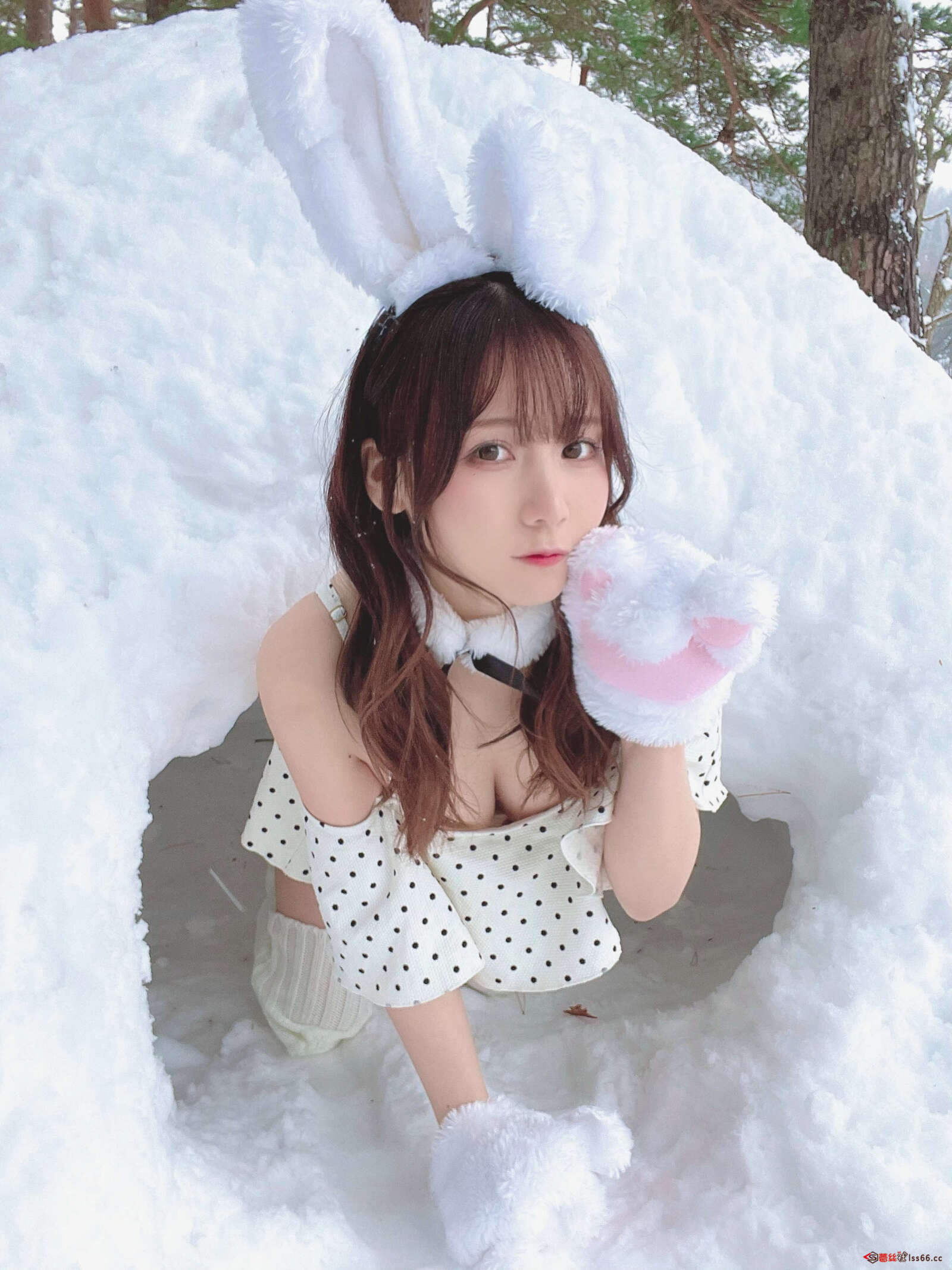 https://www.lss77.com/wp-content/uploads/2022/03/014-146-1600x2132.jpg